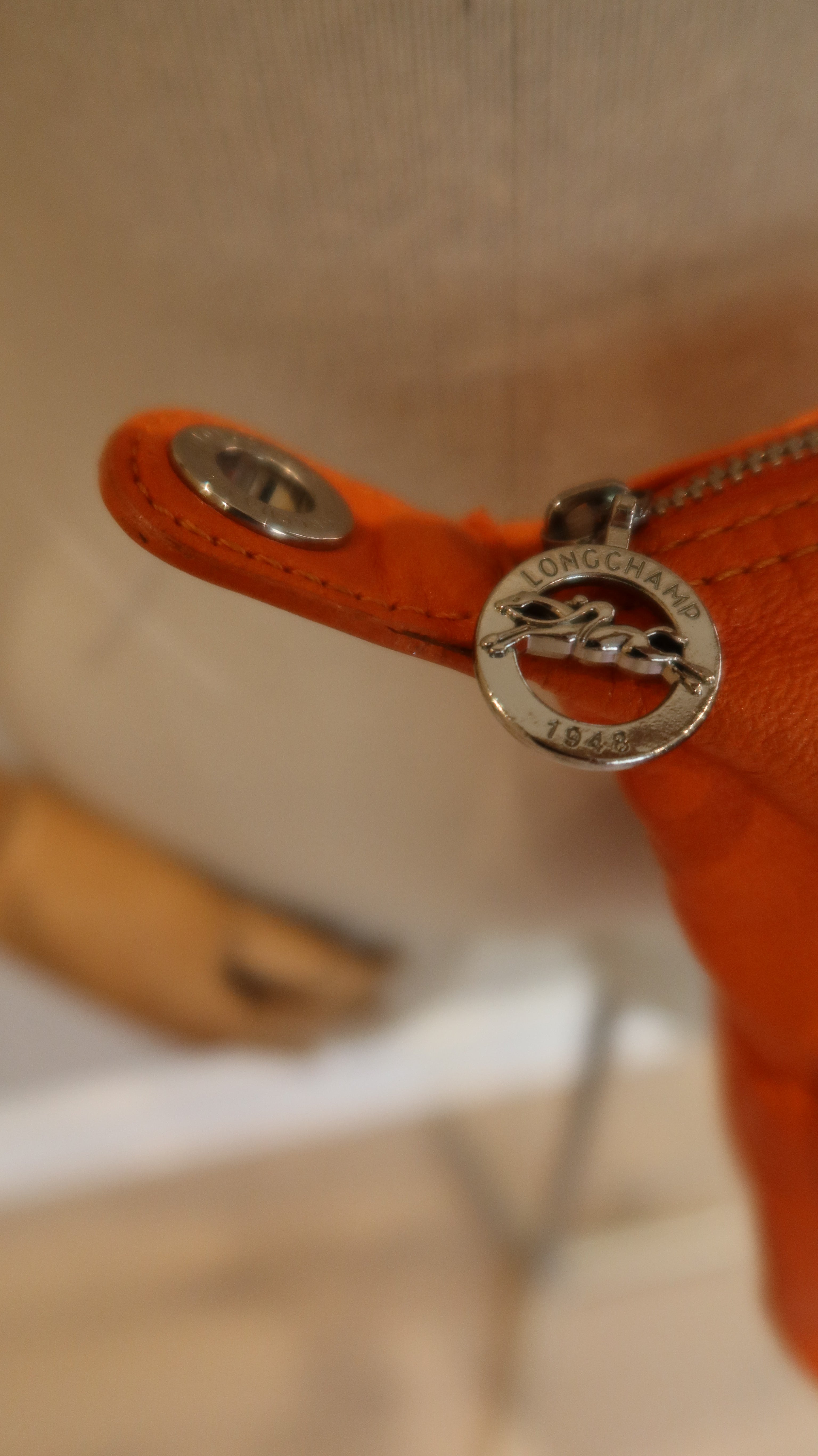 Longchamp Le Pliage Leather Bag