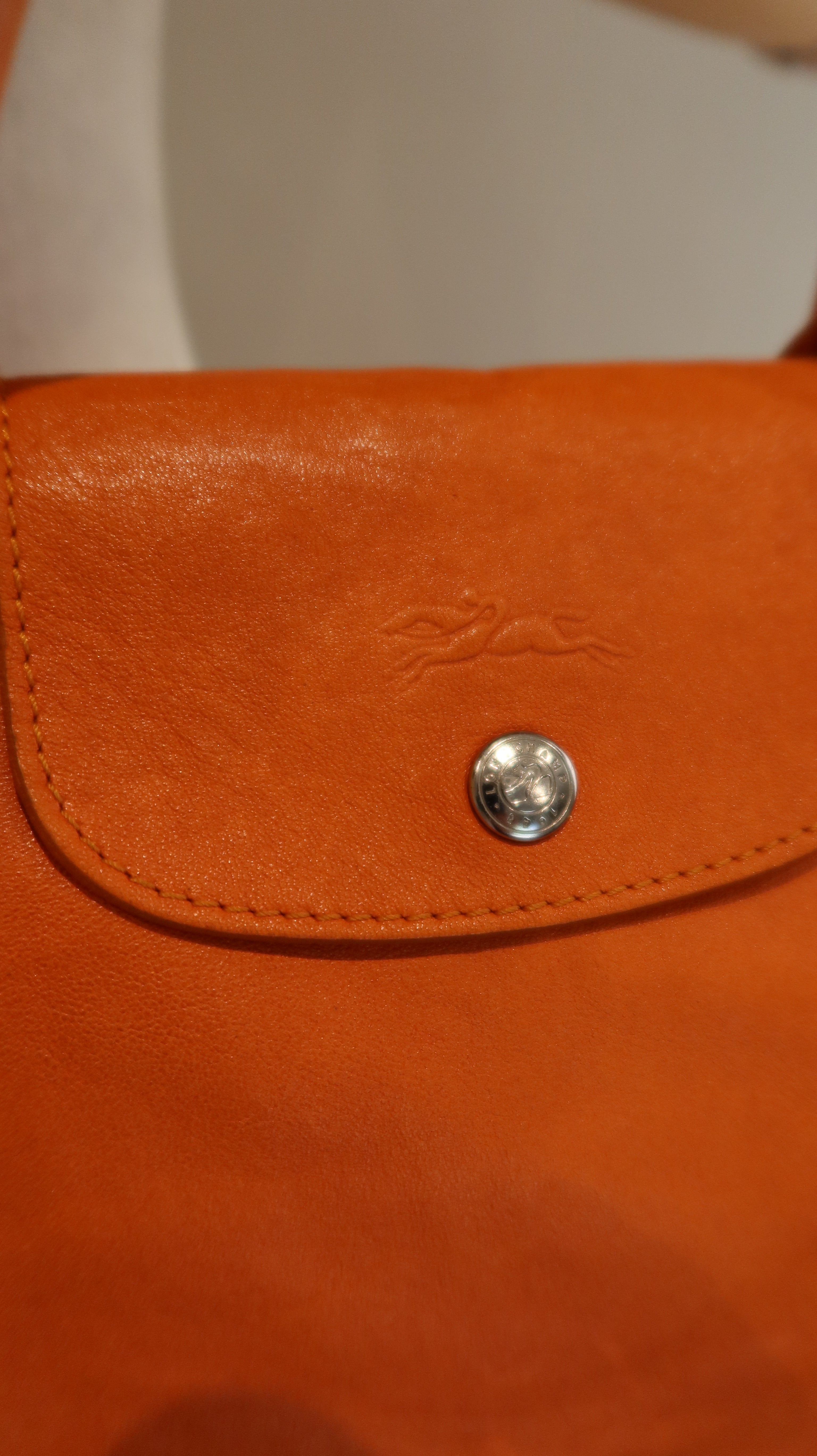 Longchamp Le Pliage Leather Bag