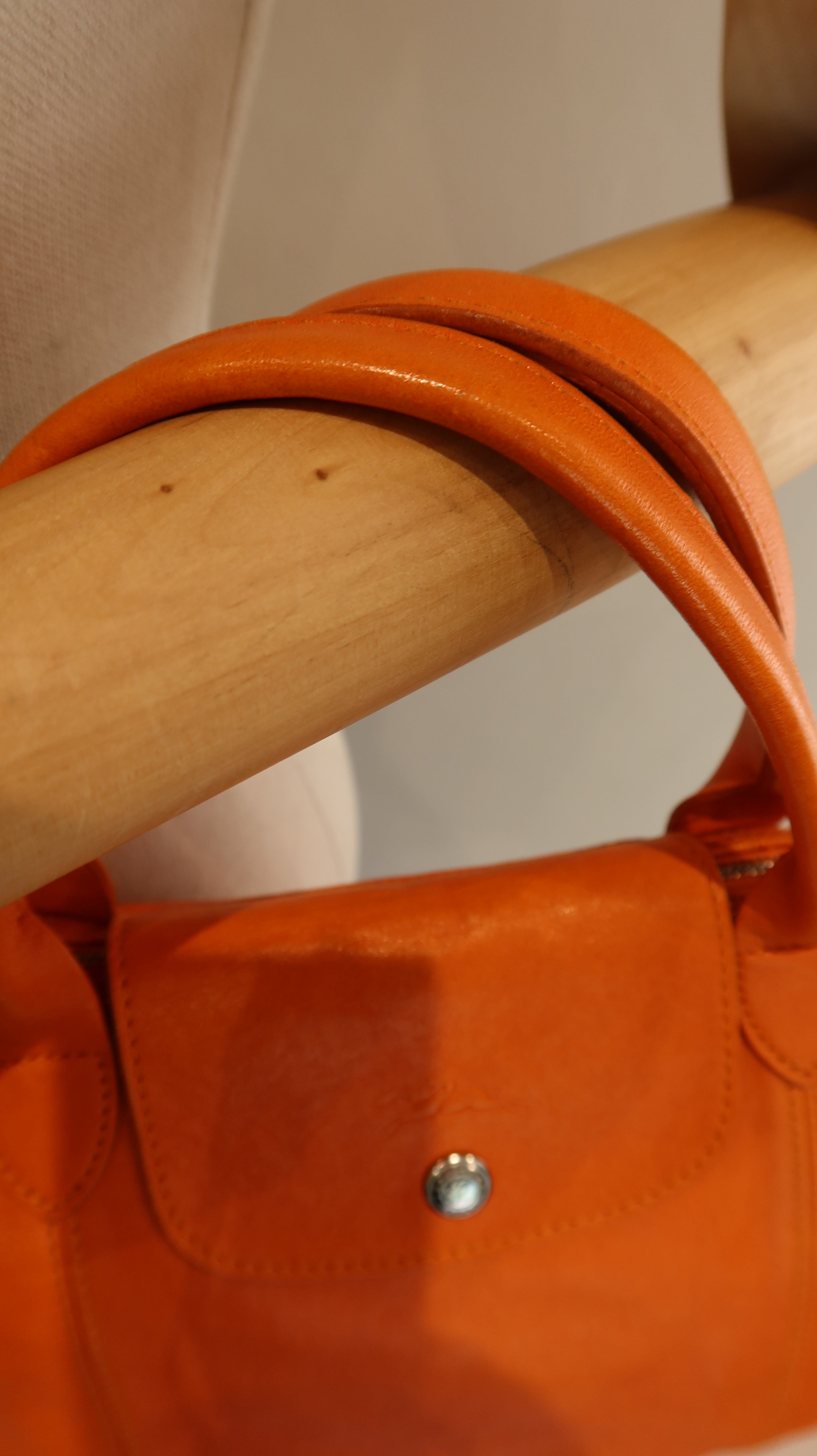 Longchamp Le Pliage Leather Bag