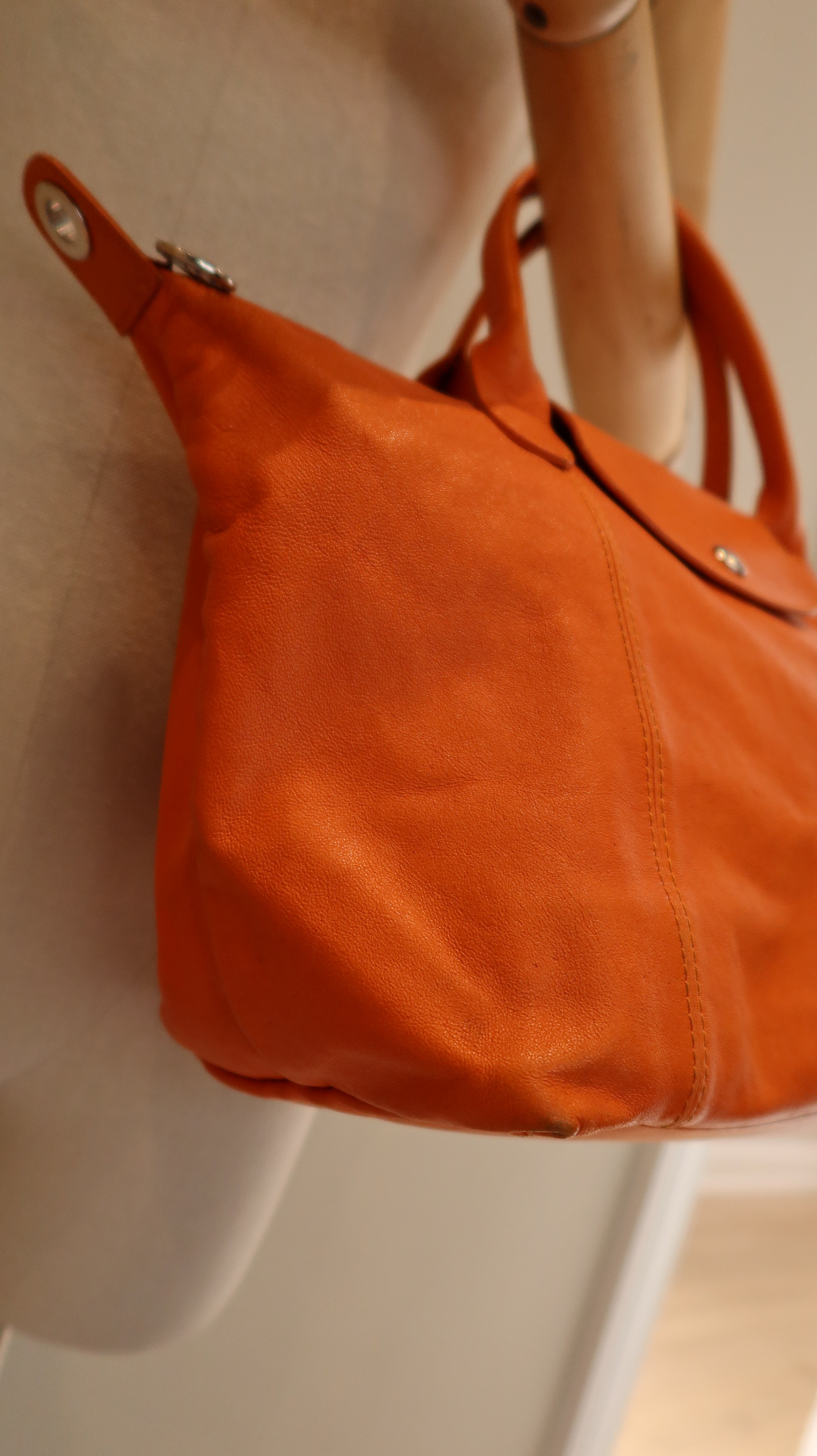 Longchamp Le Pliage Leather Bag