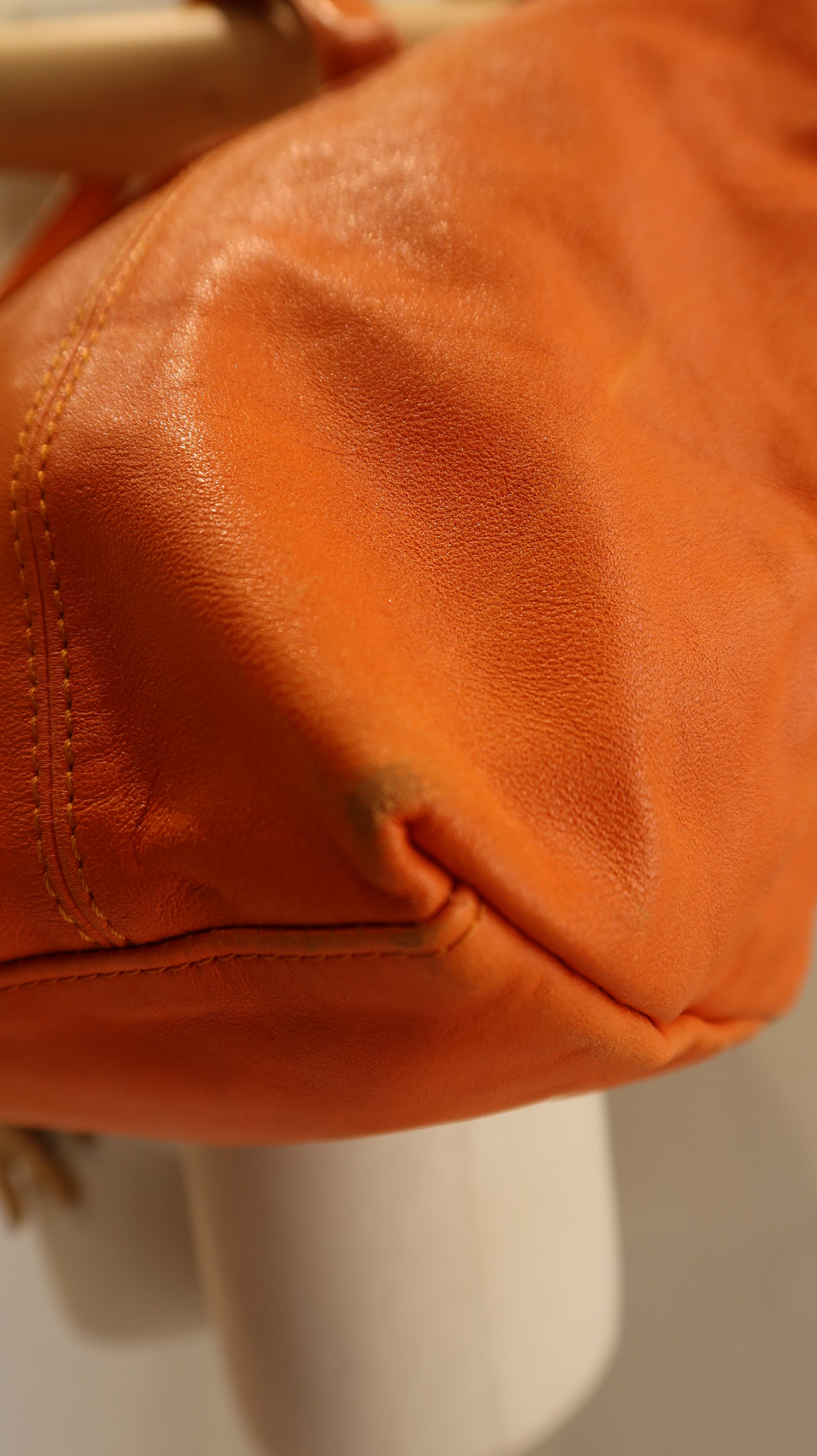 Longchamp Le Pliage Leather Bag