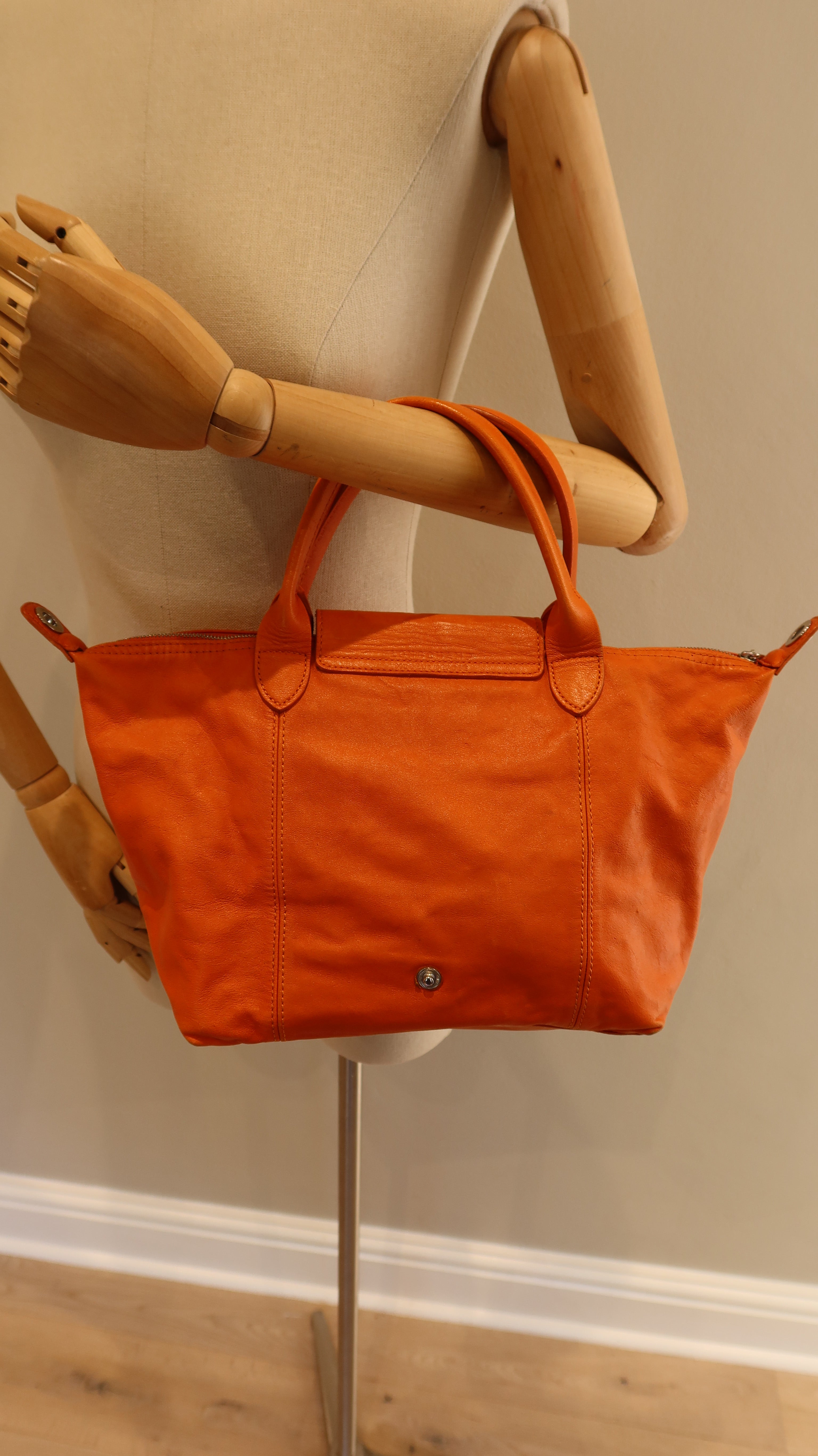 Longchamp Le Pliage Leather Bag