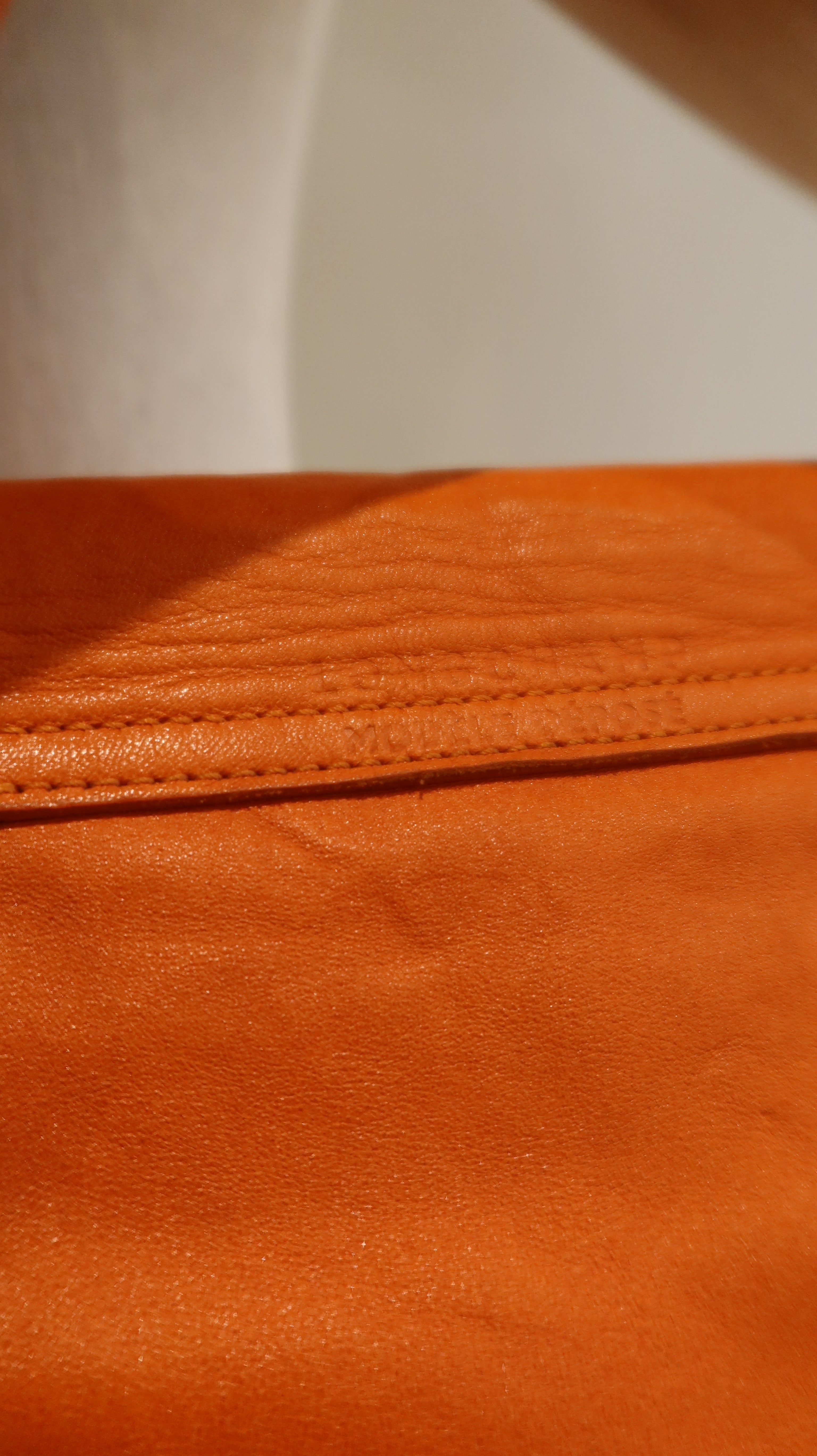 Longchamp Le Pliage Leather Bag