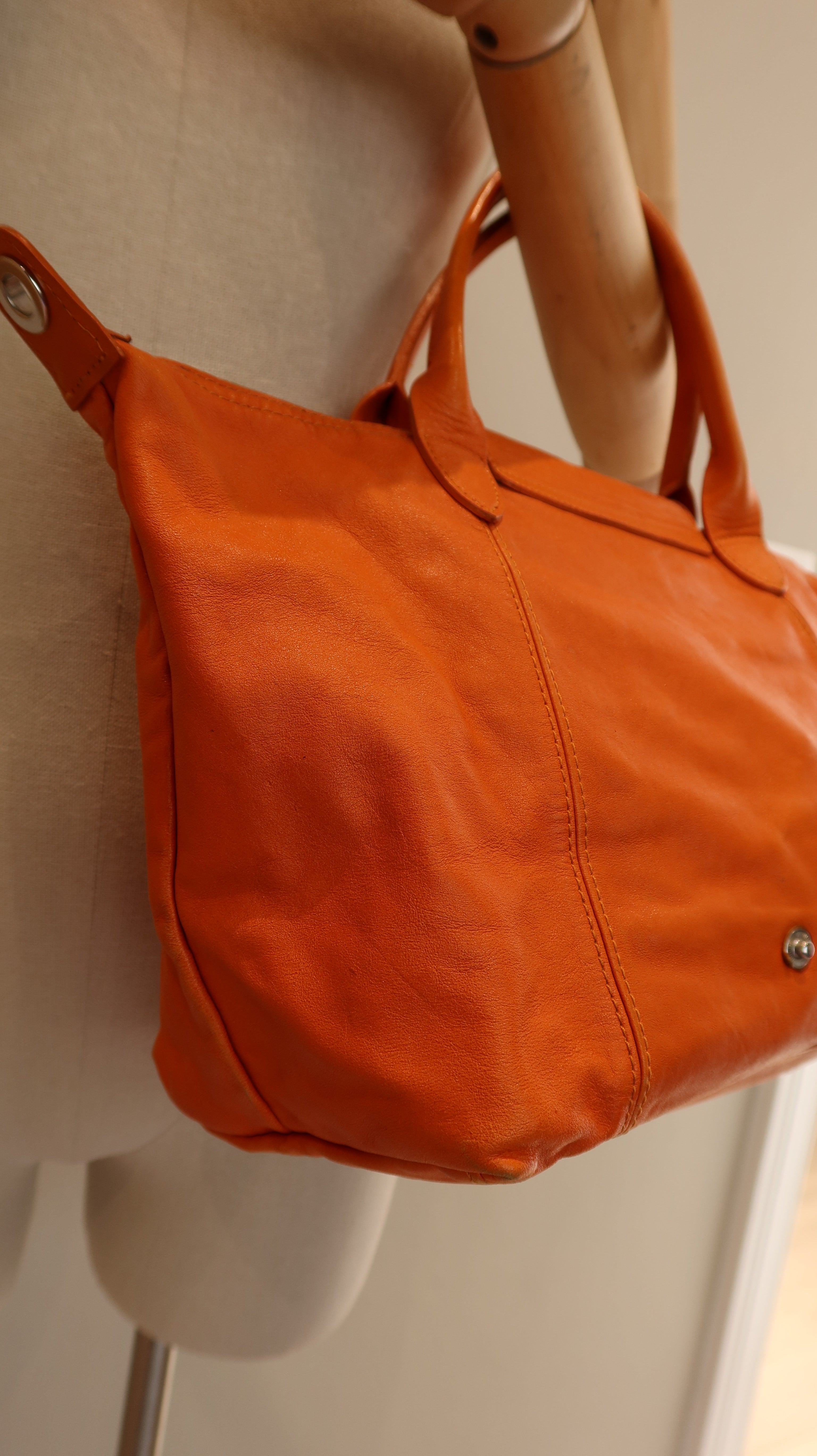 Longchamp Le Pliage Leather Bag