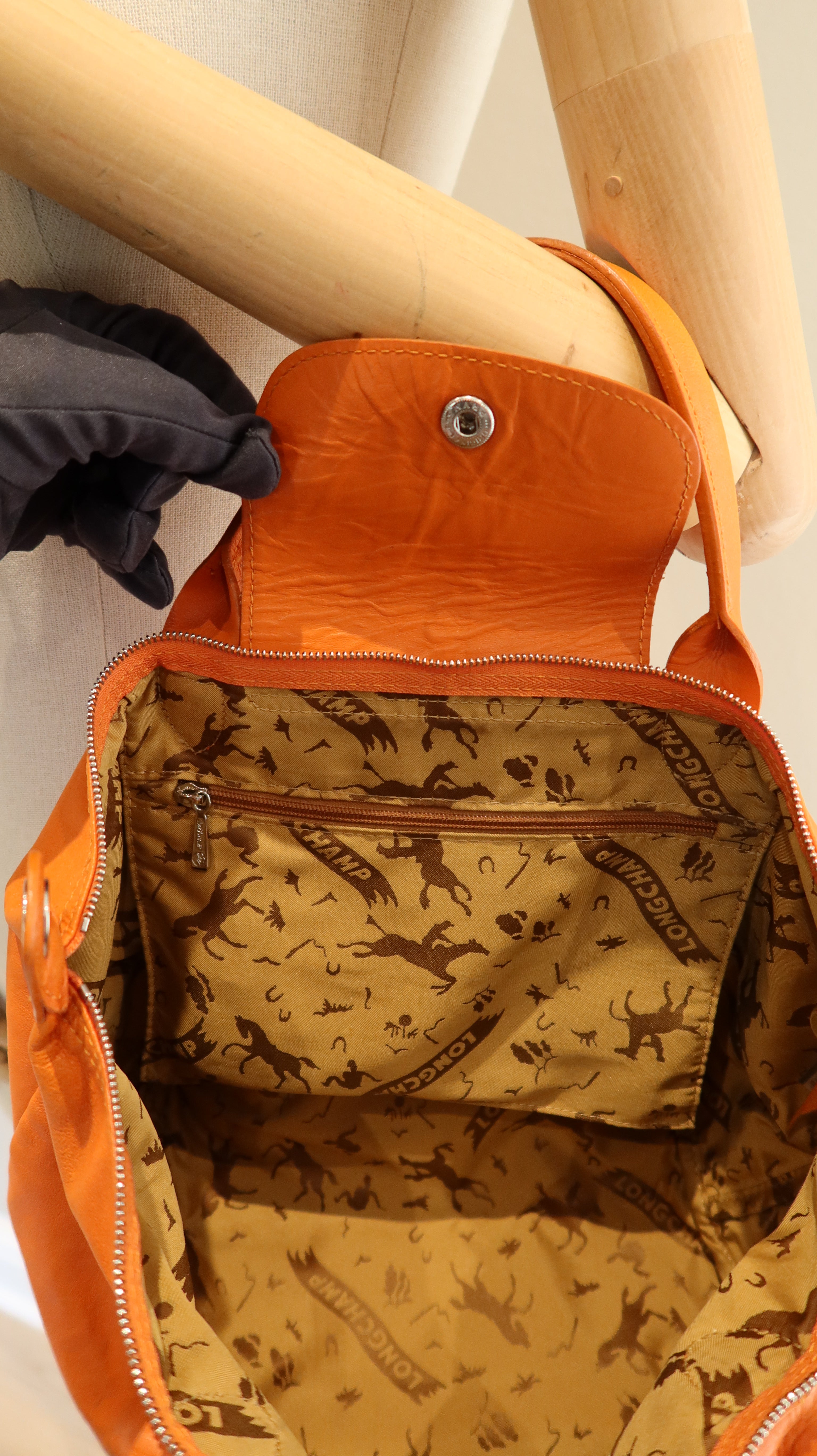 Longchamp Le Pliage Leather Bag