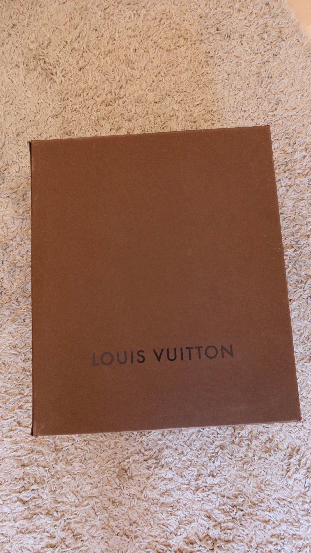Louis Vuitton Summit Drive Bag