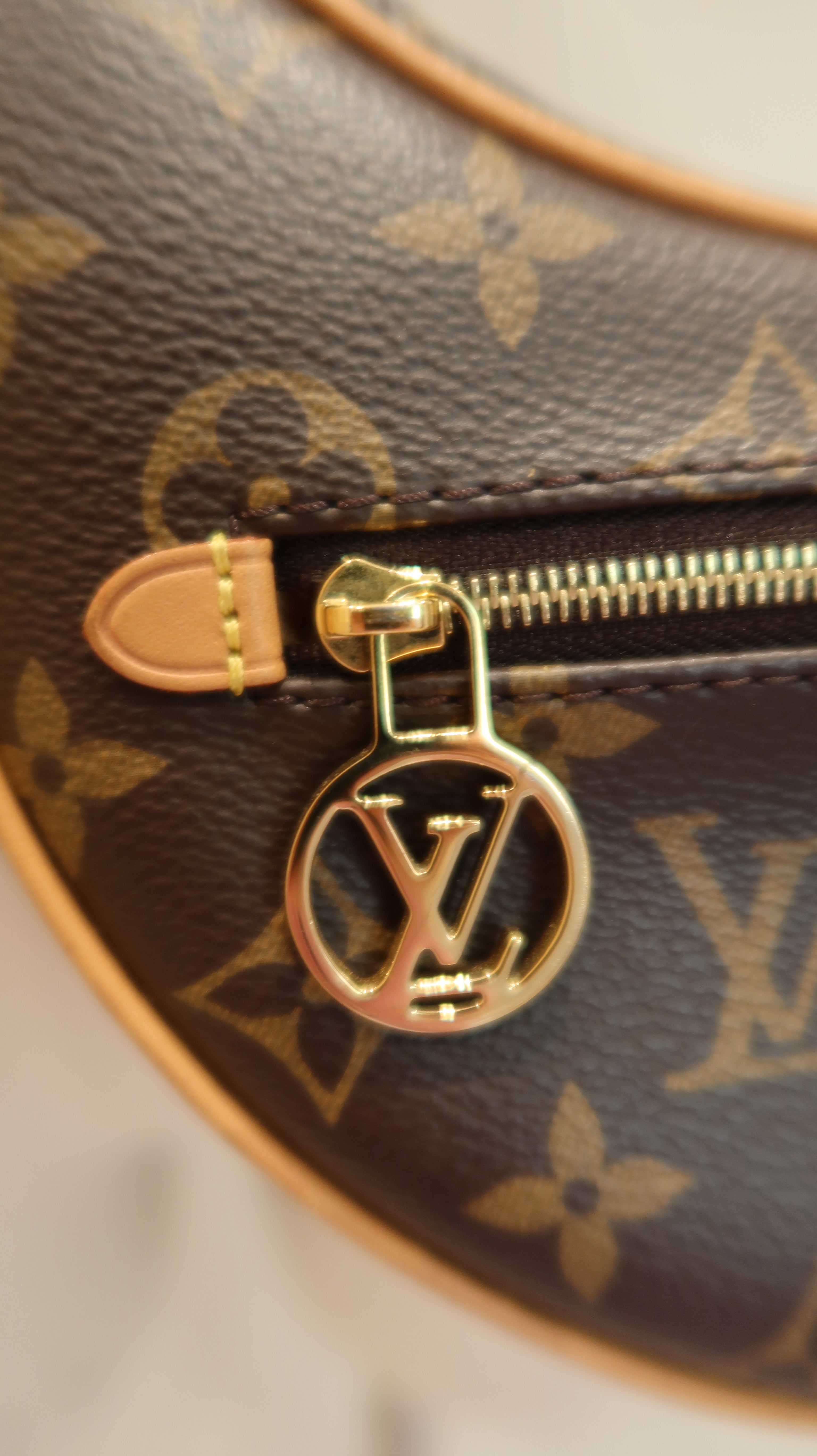 Louis Vuitton Loop Bag