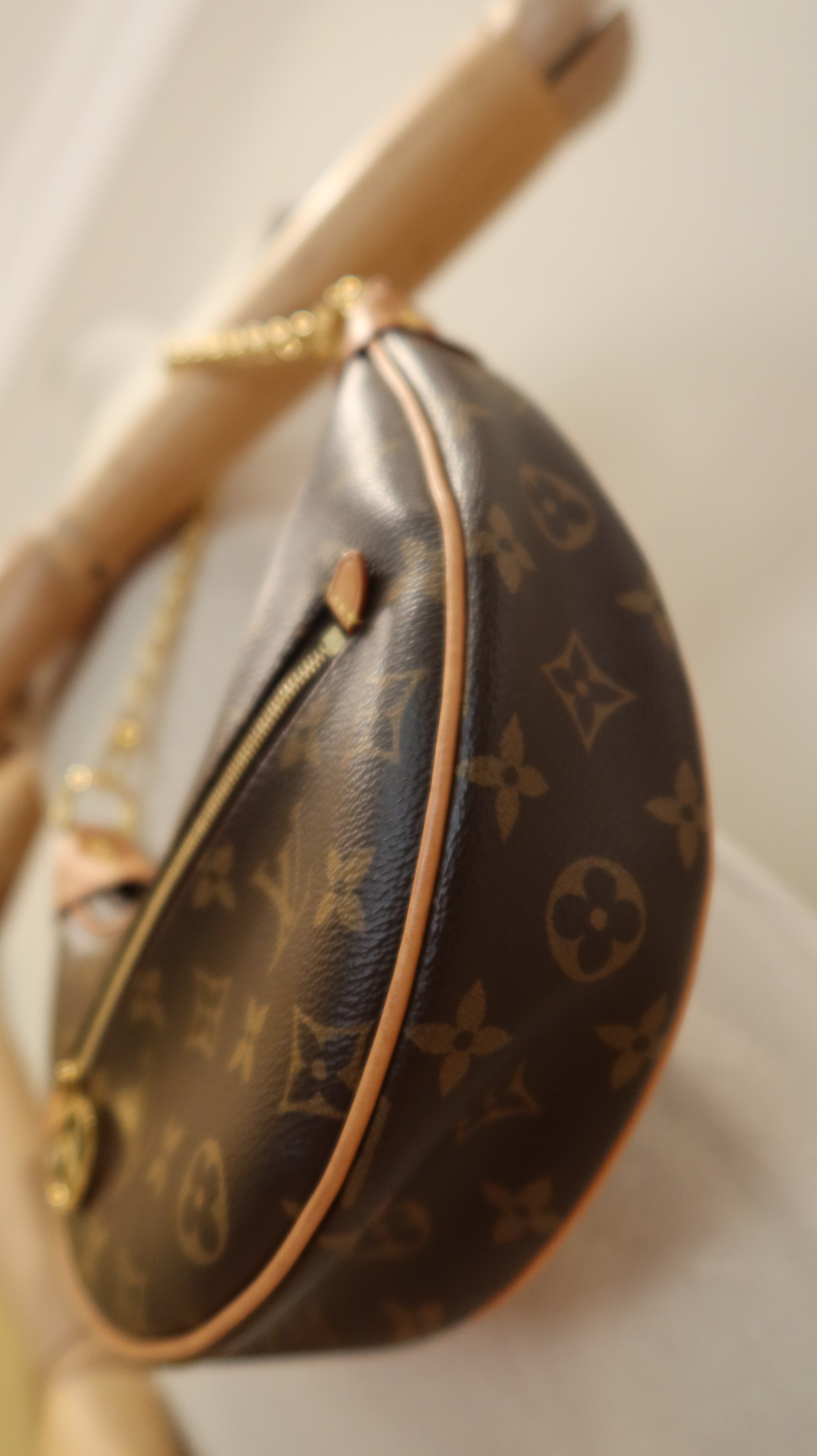 Louis Vuitton Loop Bag
