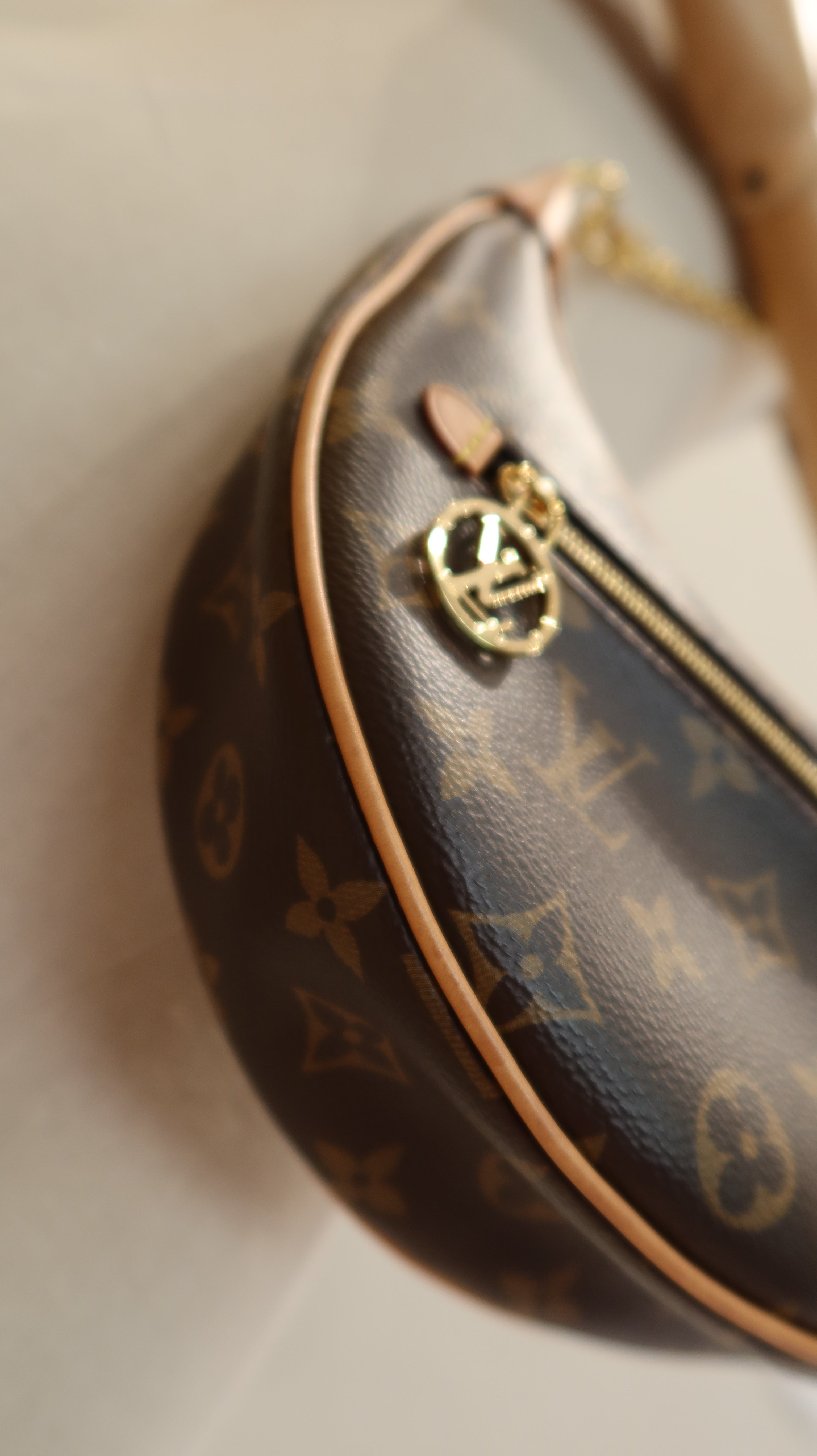 Louis Vuitton Loop Bag