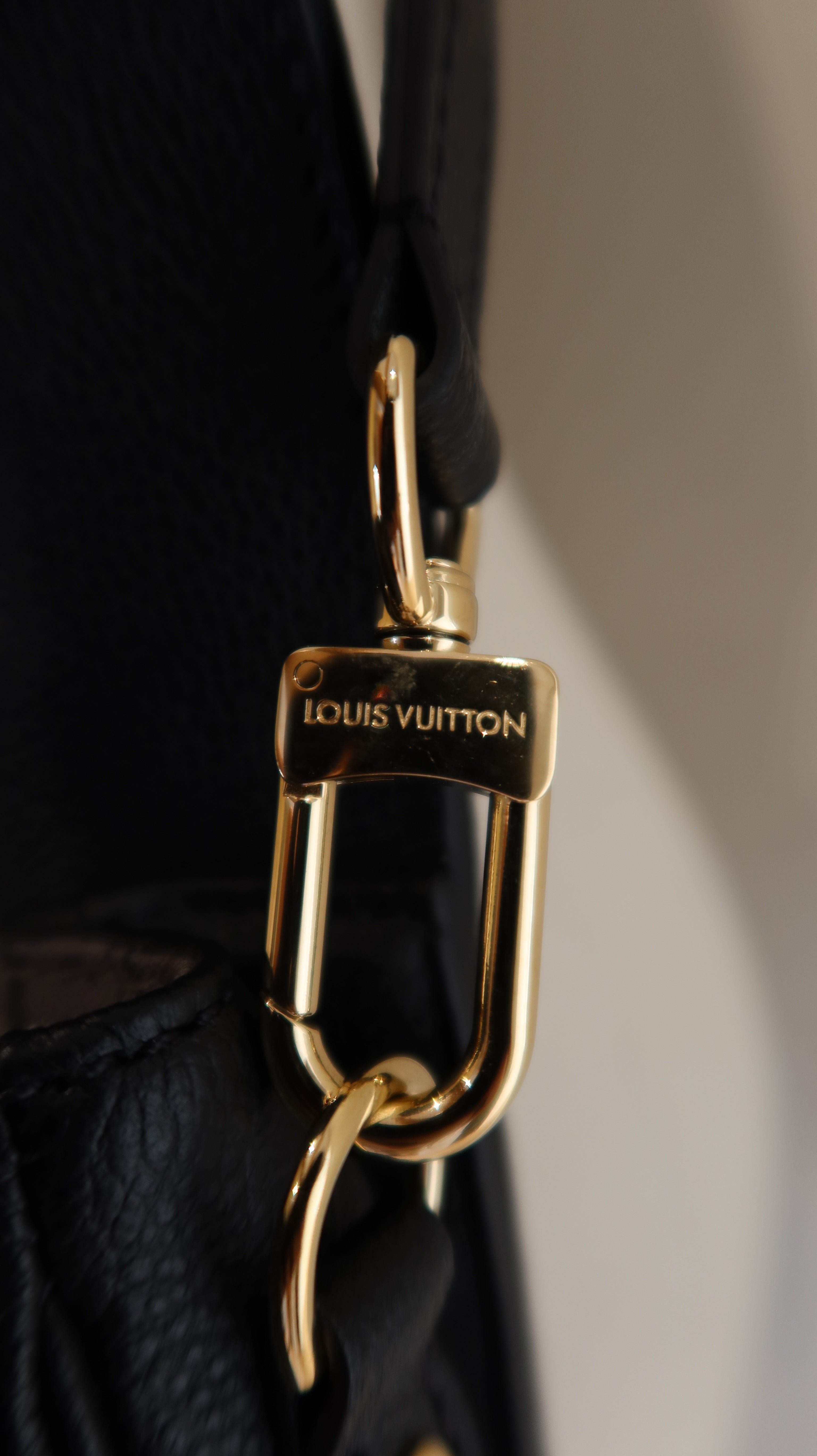 Louis Vuitton Pochette Metis