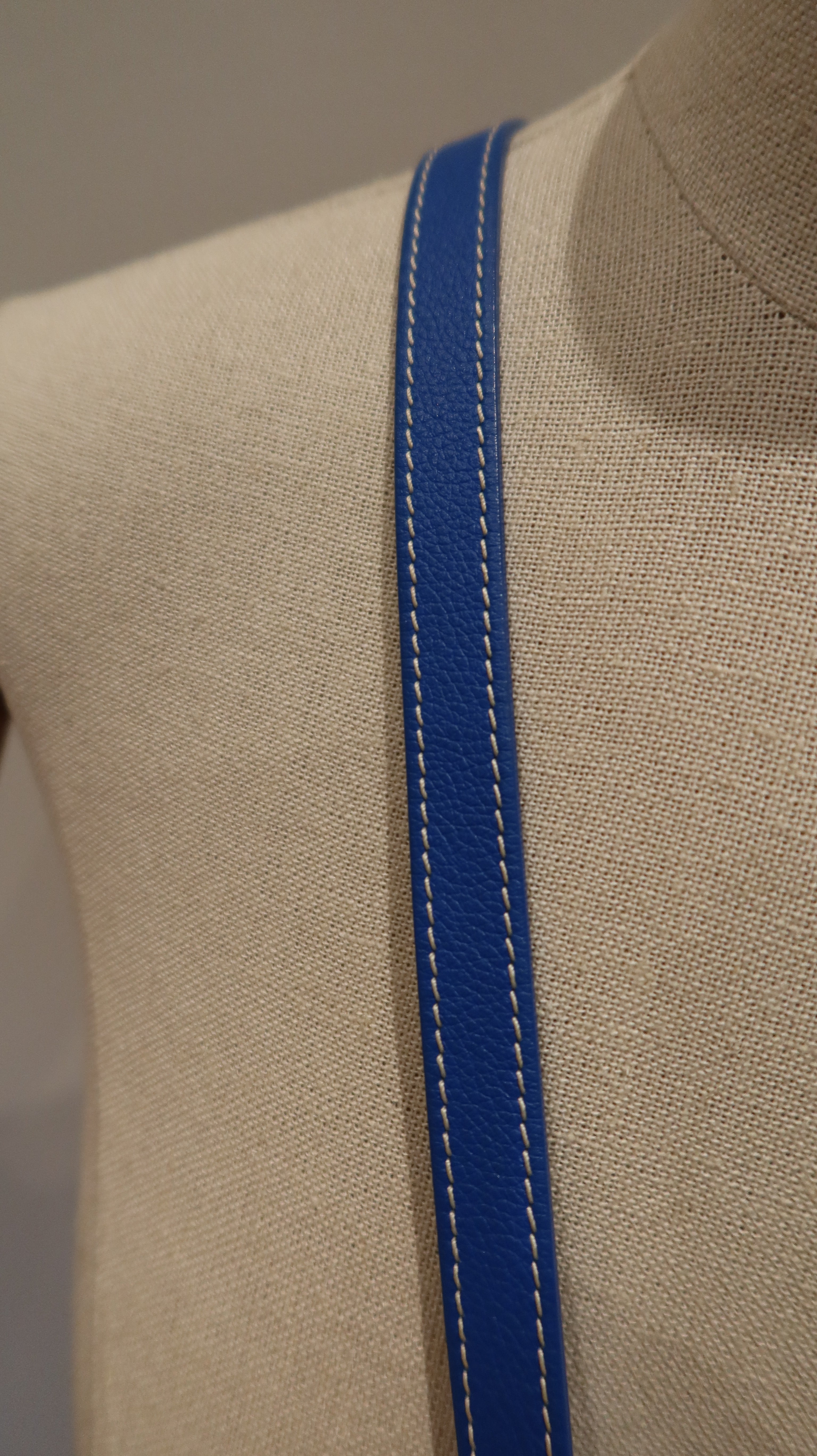 Goyard Petit Flot Bucket Bag