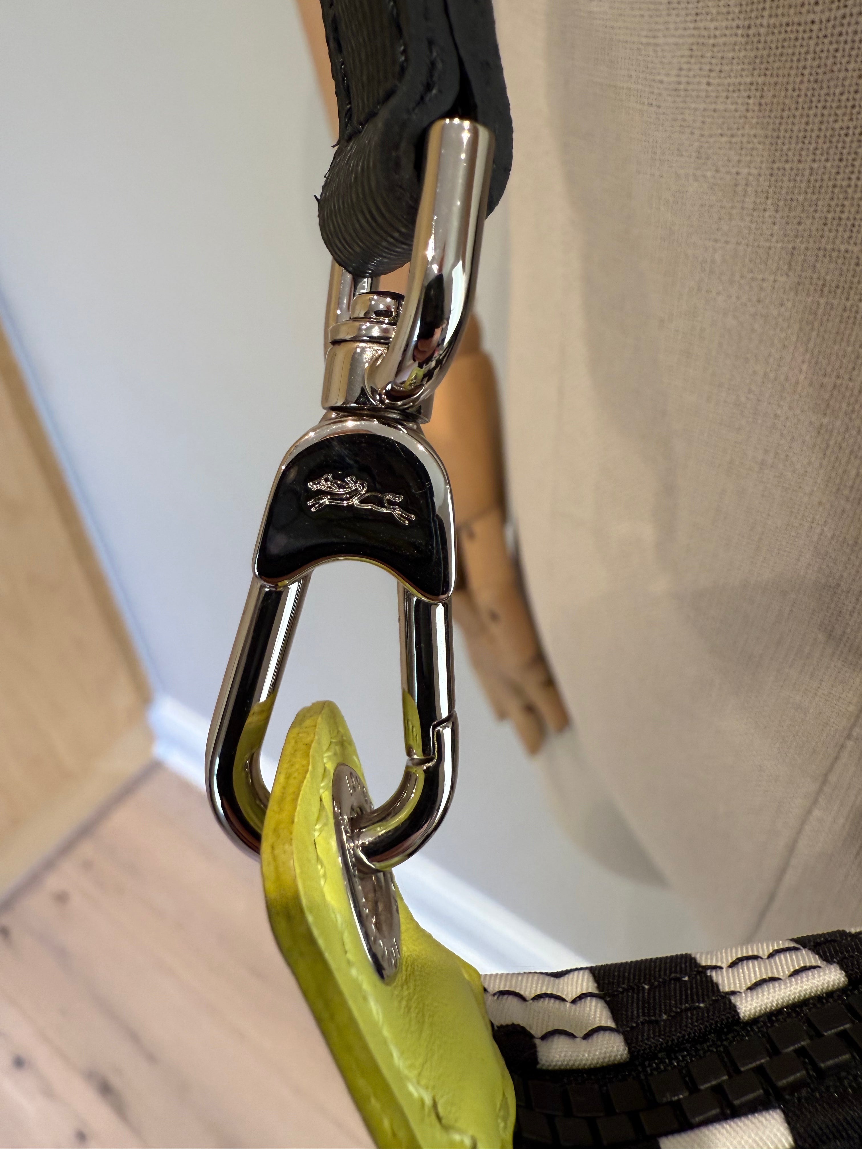 Longchamp Le Pliage Bag