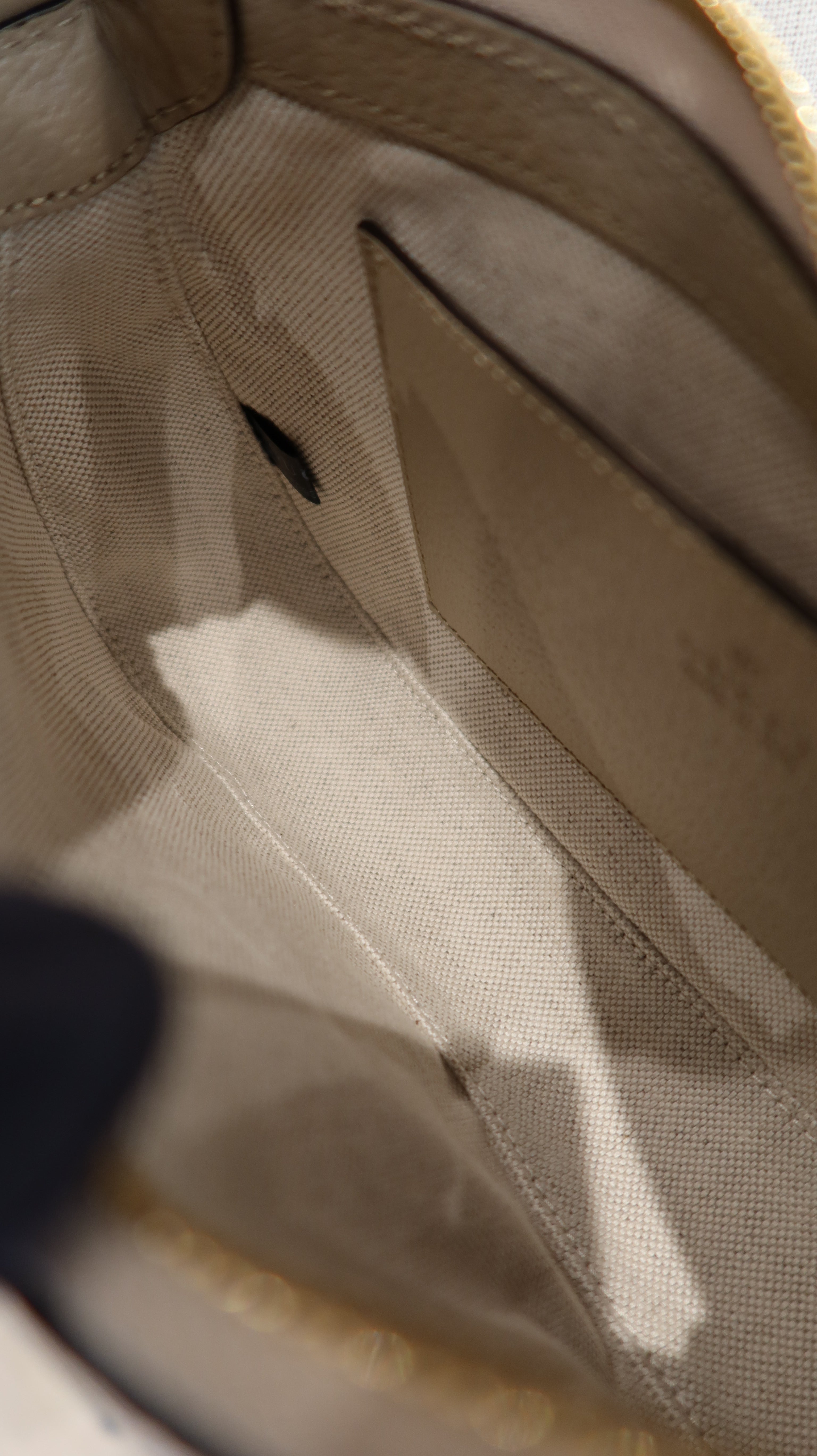 Gucci Supreme Ophidia Bag
