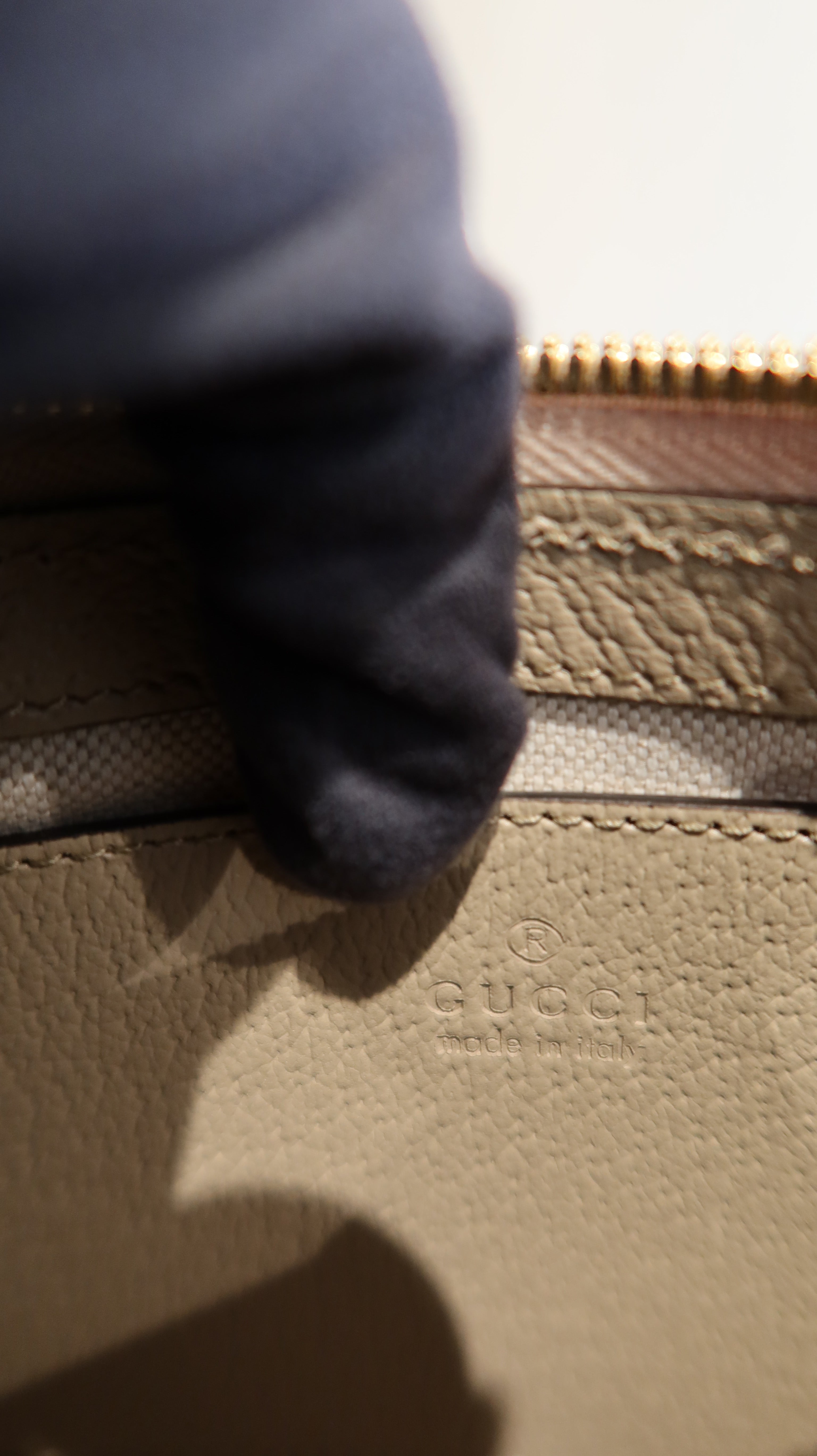 Gucci Supreme Ophidia Bag