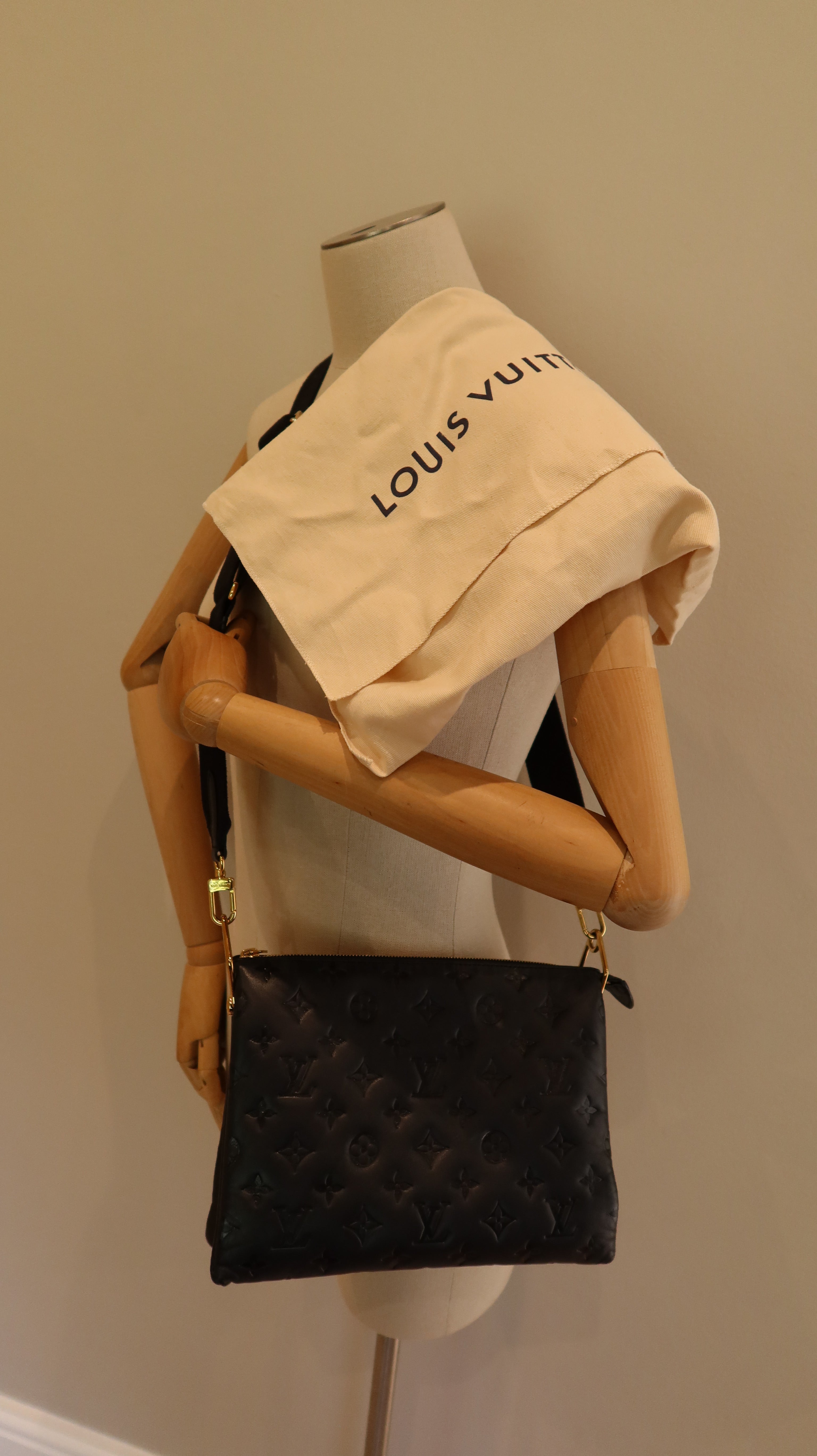 Louis Vuitton Coussin PM Bag