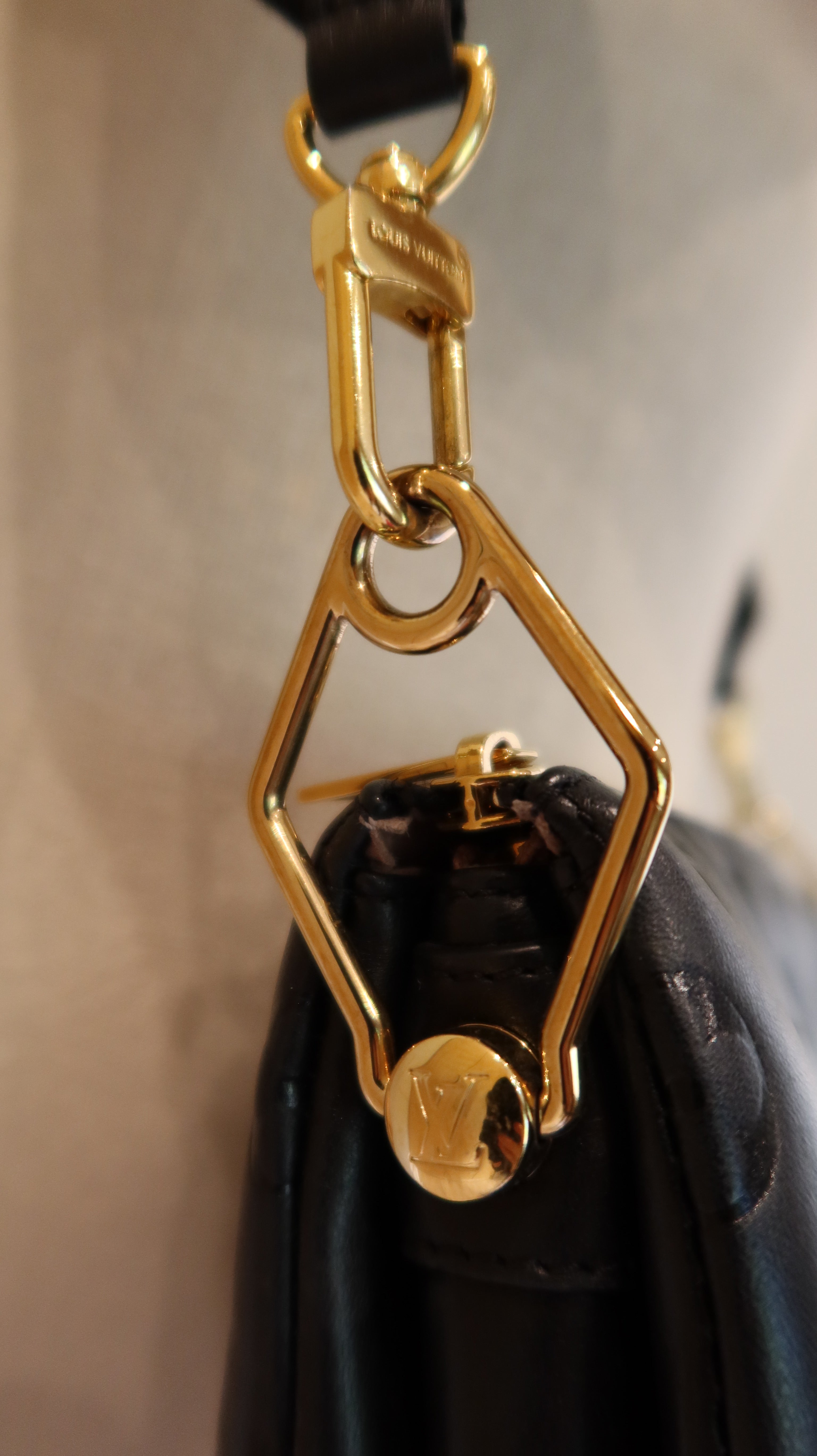 Louis Vuitton Coussin PM Bag