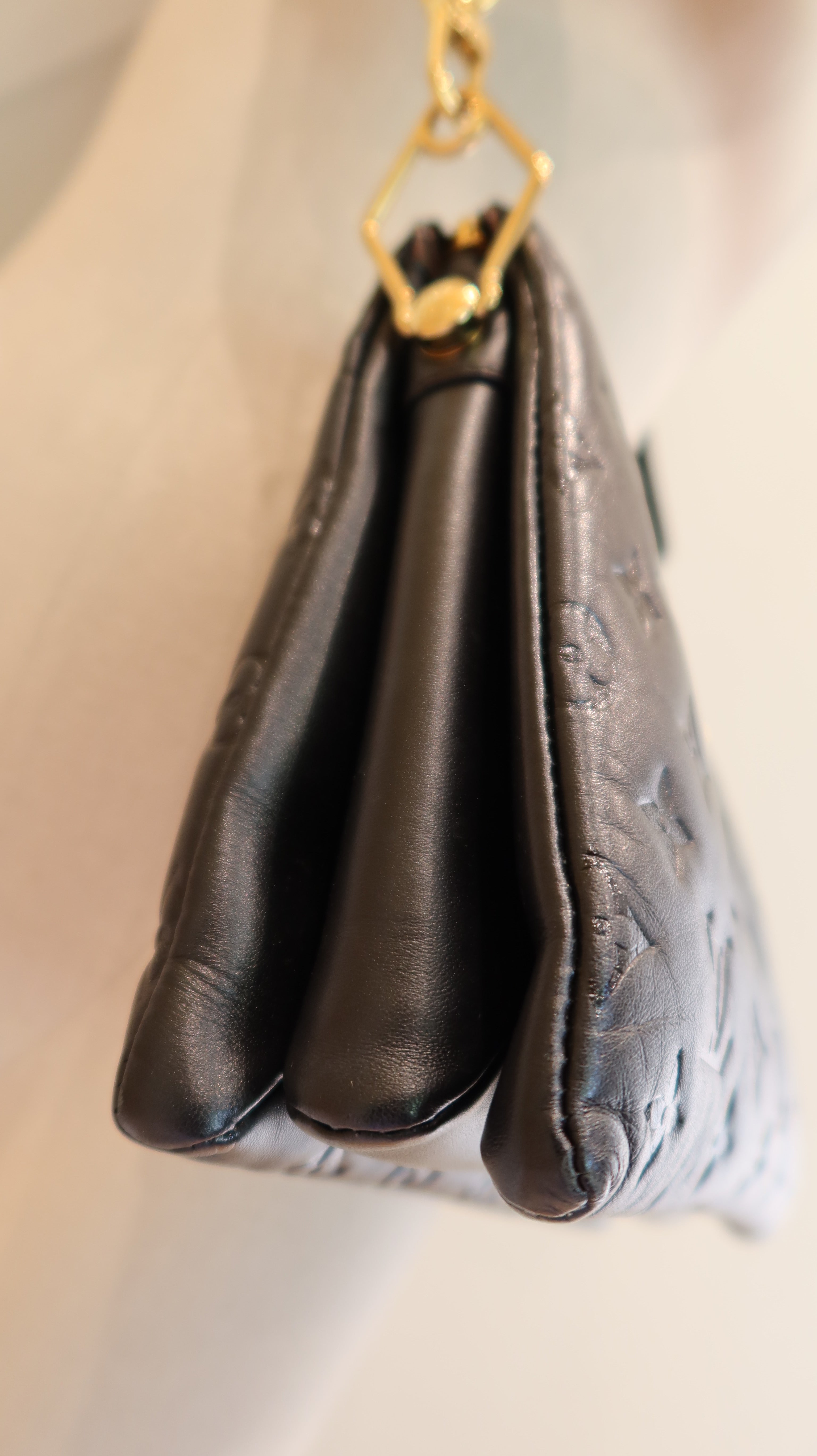 Louis Vuitton Coussin PM Bag