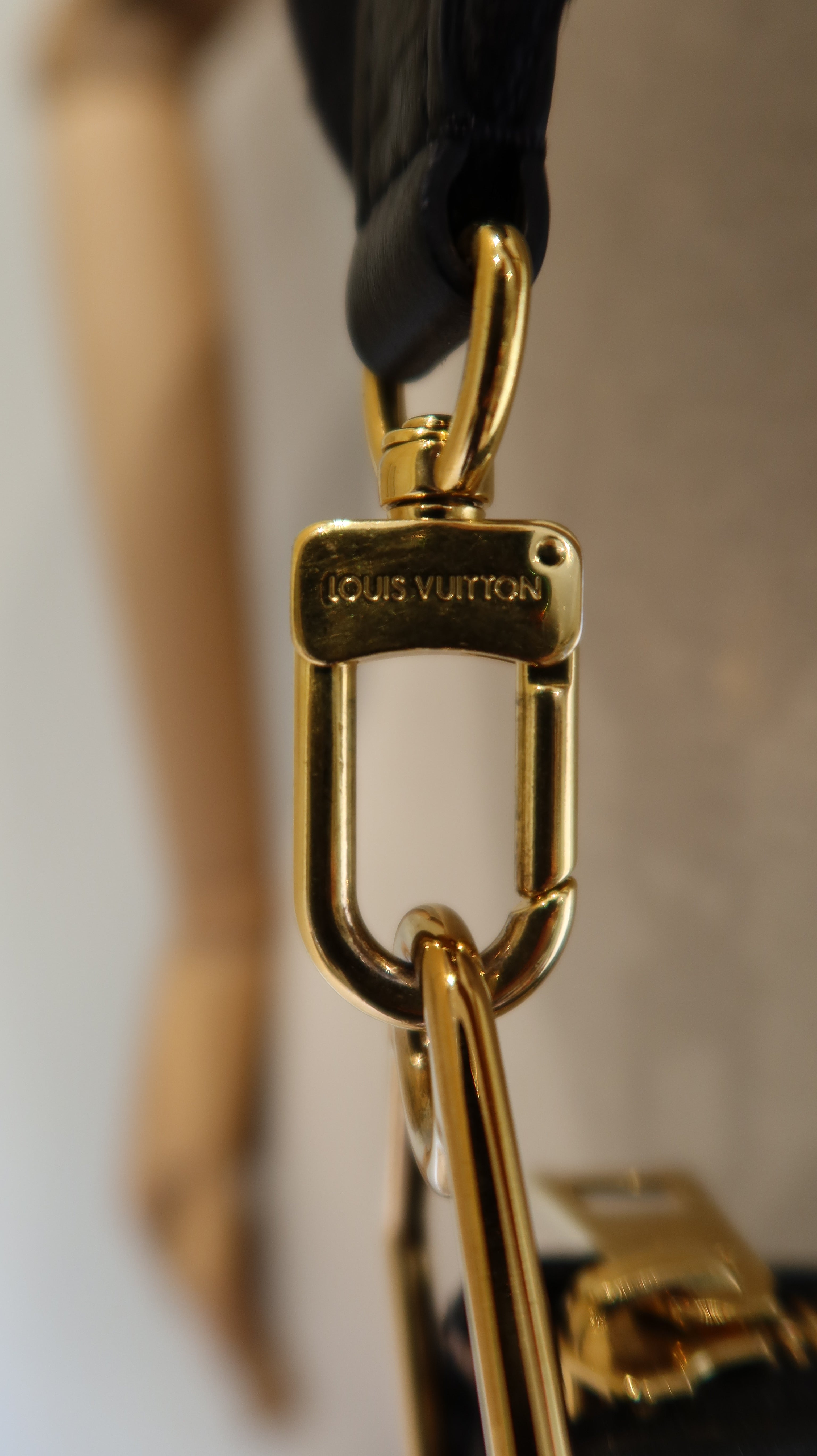 Louis Vuitton Coussin PM Bag