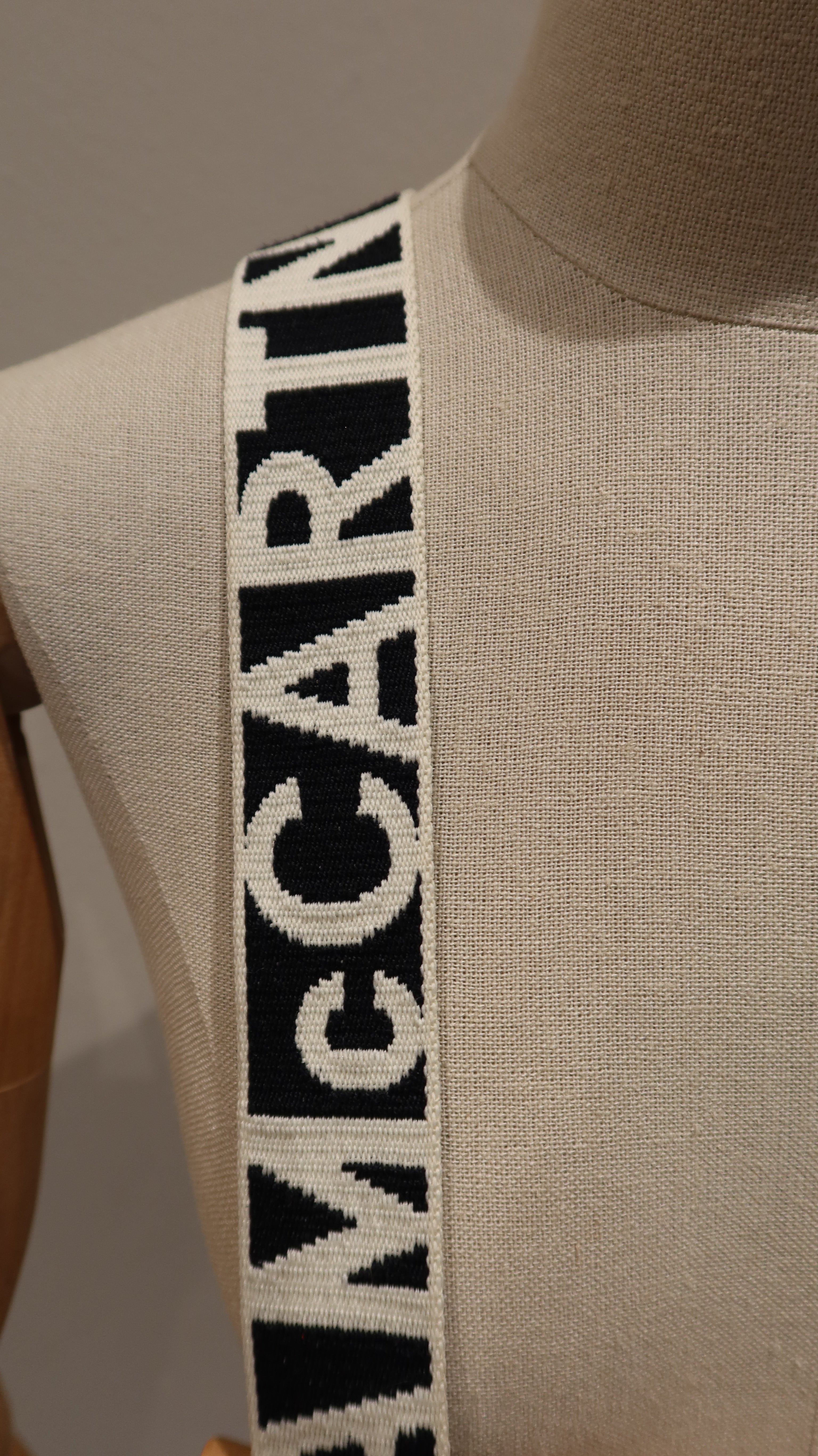 Stella McCartney Camera Bag