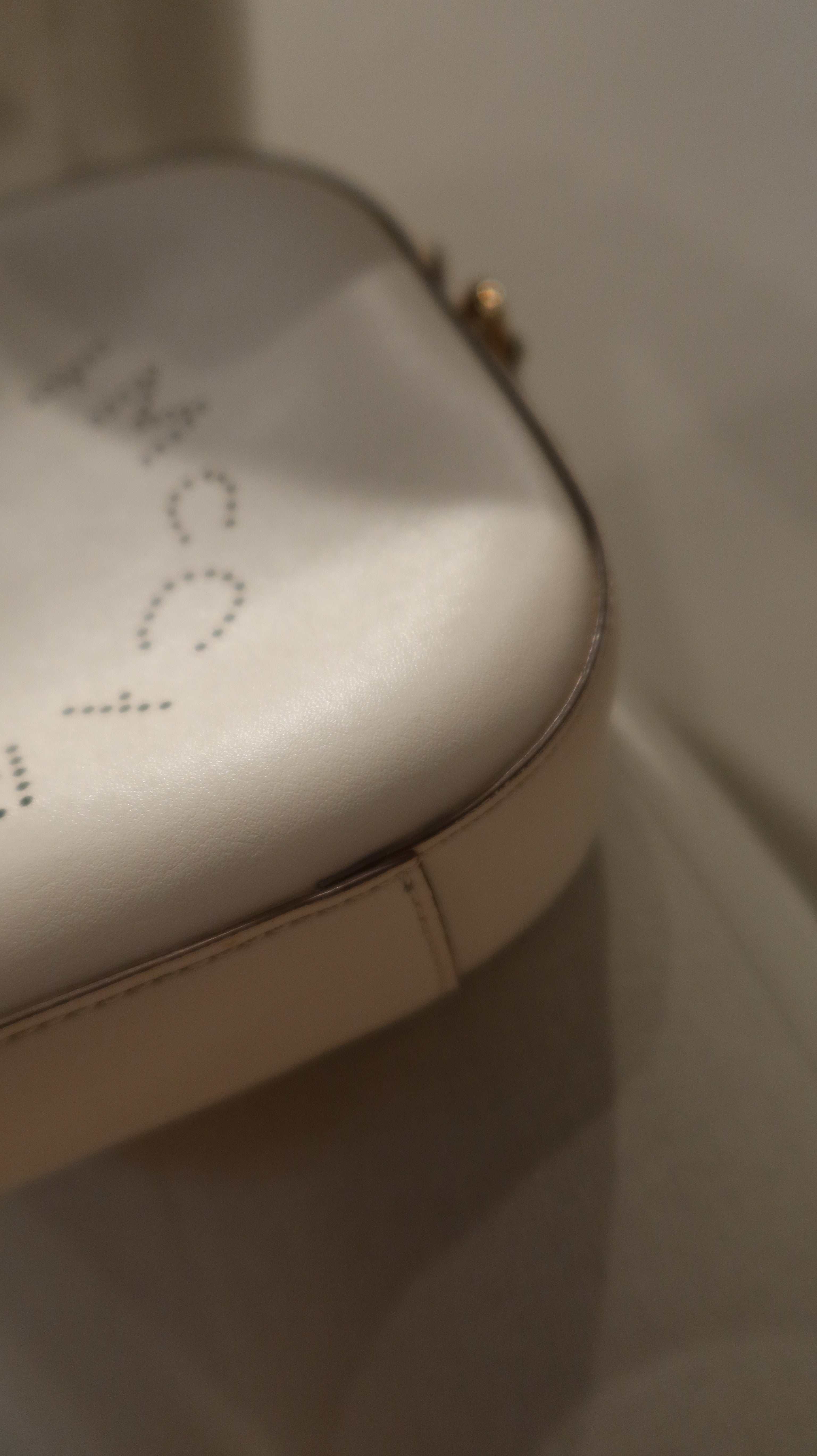 Stella McCartney Camera Bag