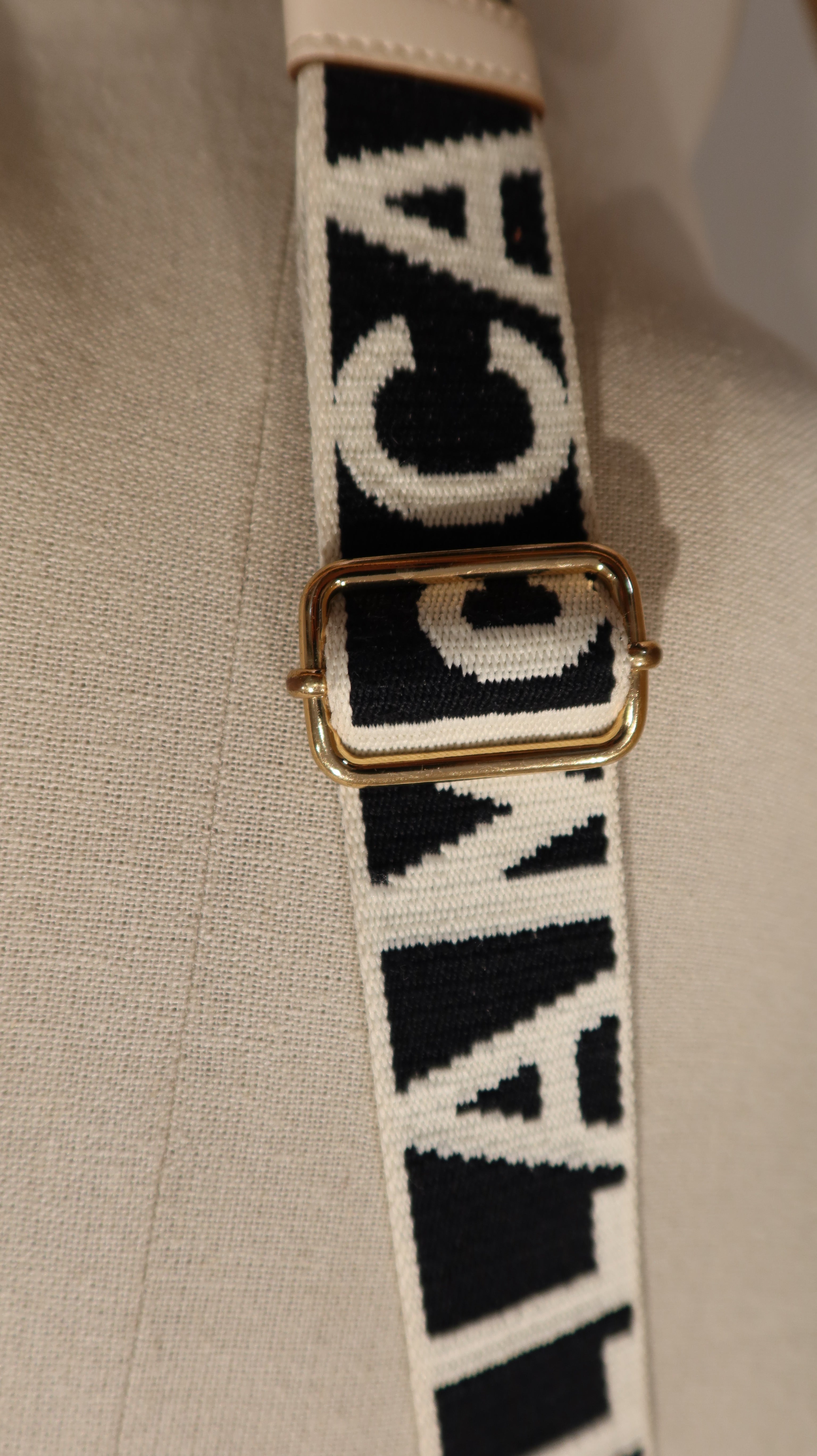 Stella McCartney Camera Bag
