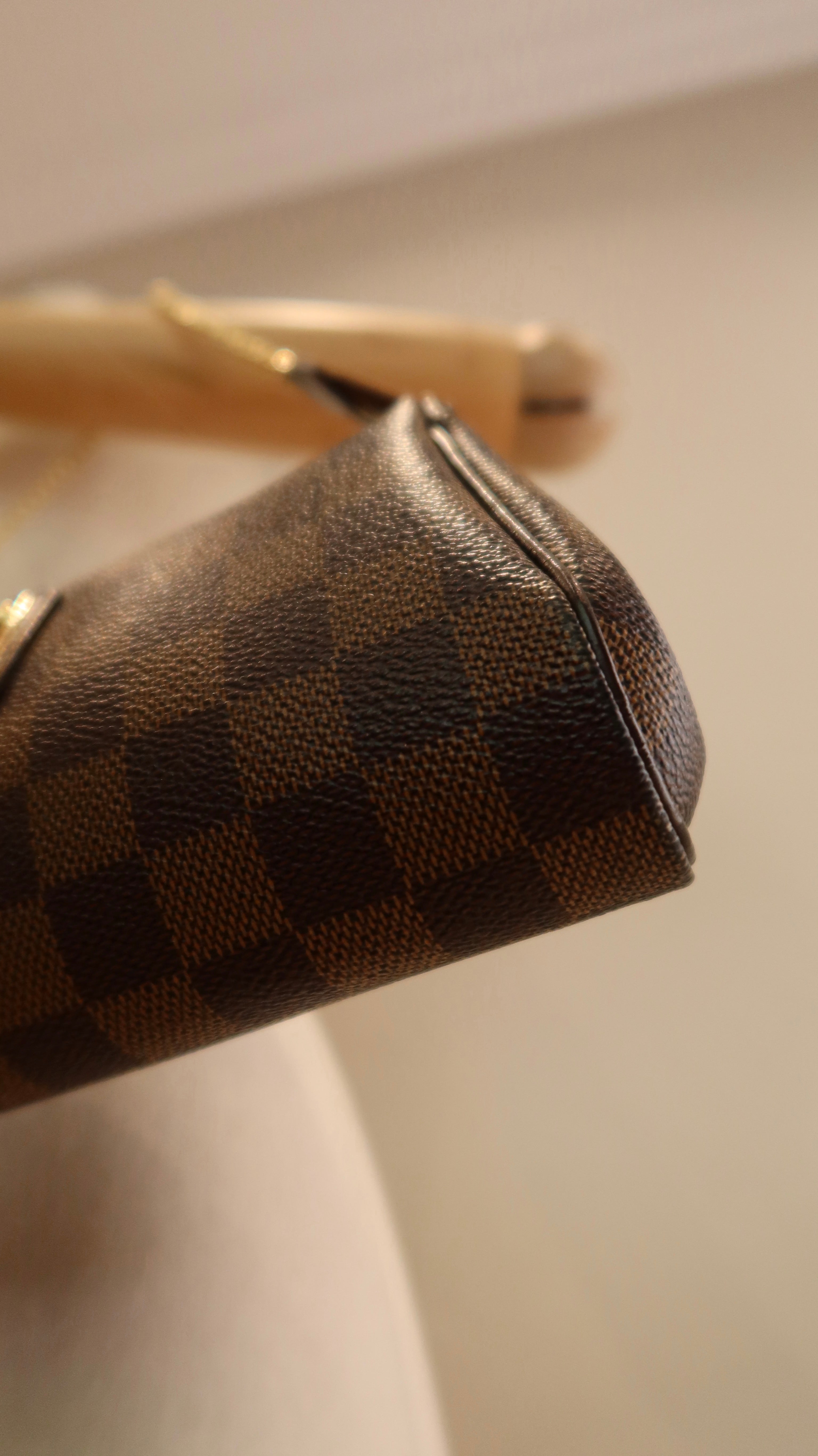 Louis Vuitton Eva Clutch