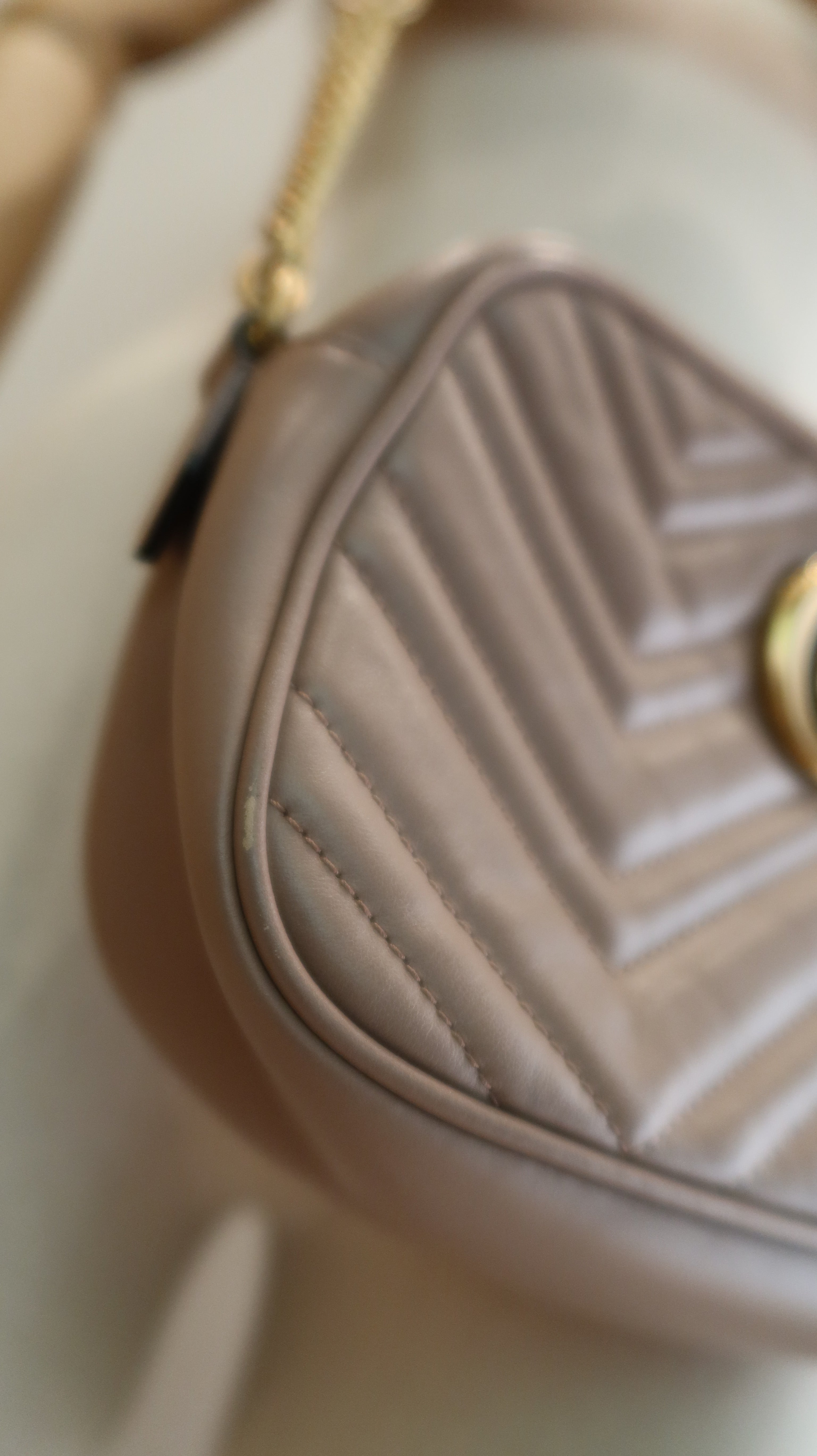 Gucci Camera Bag