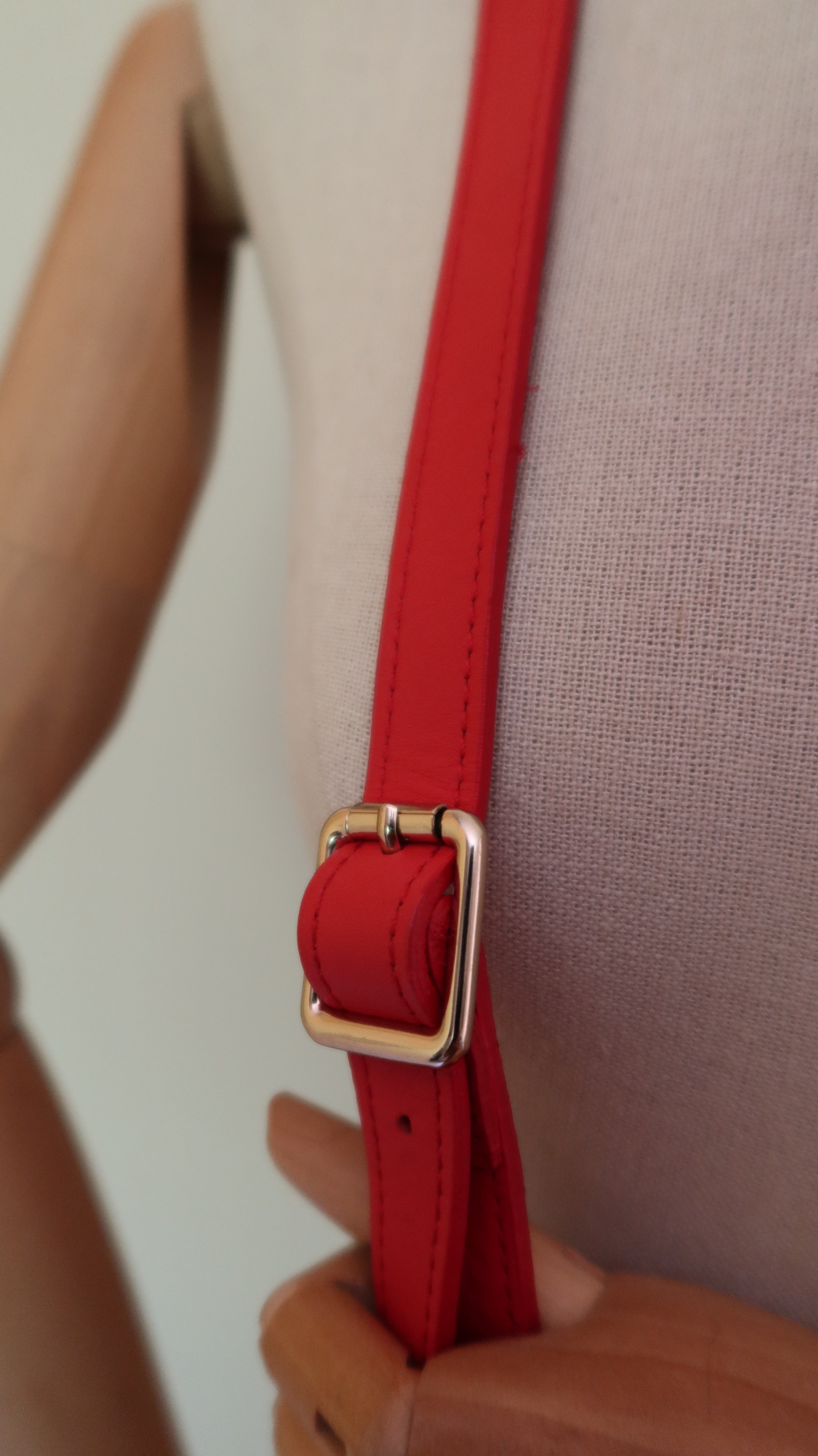 Longchamp Crossbody Bag