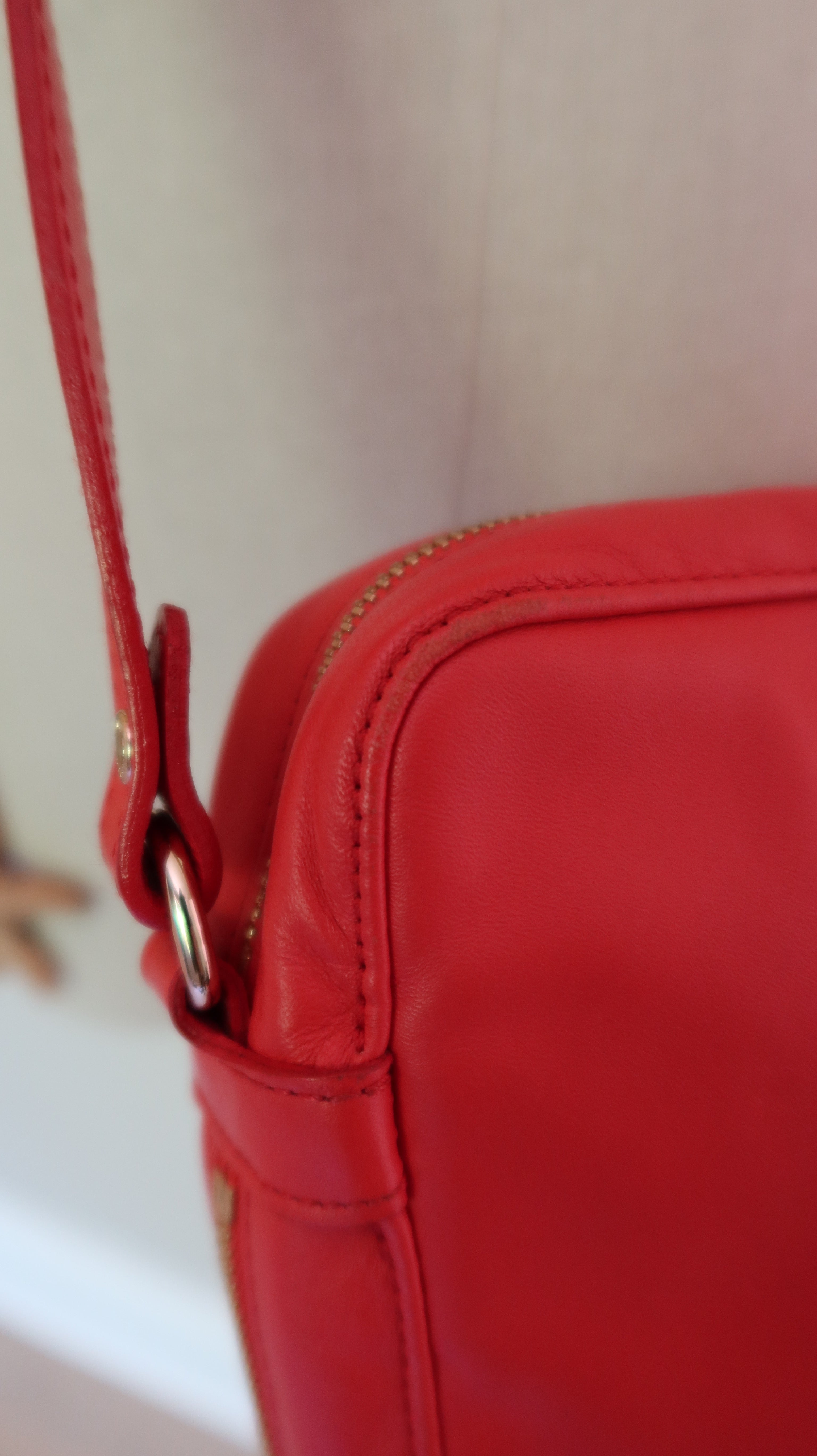 Longchamp Crossbody Bag