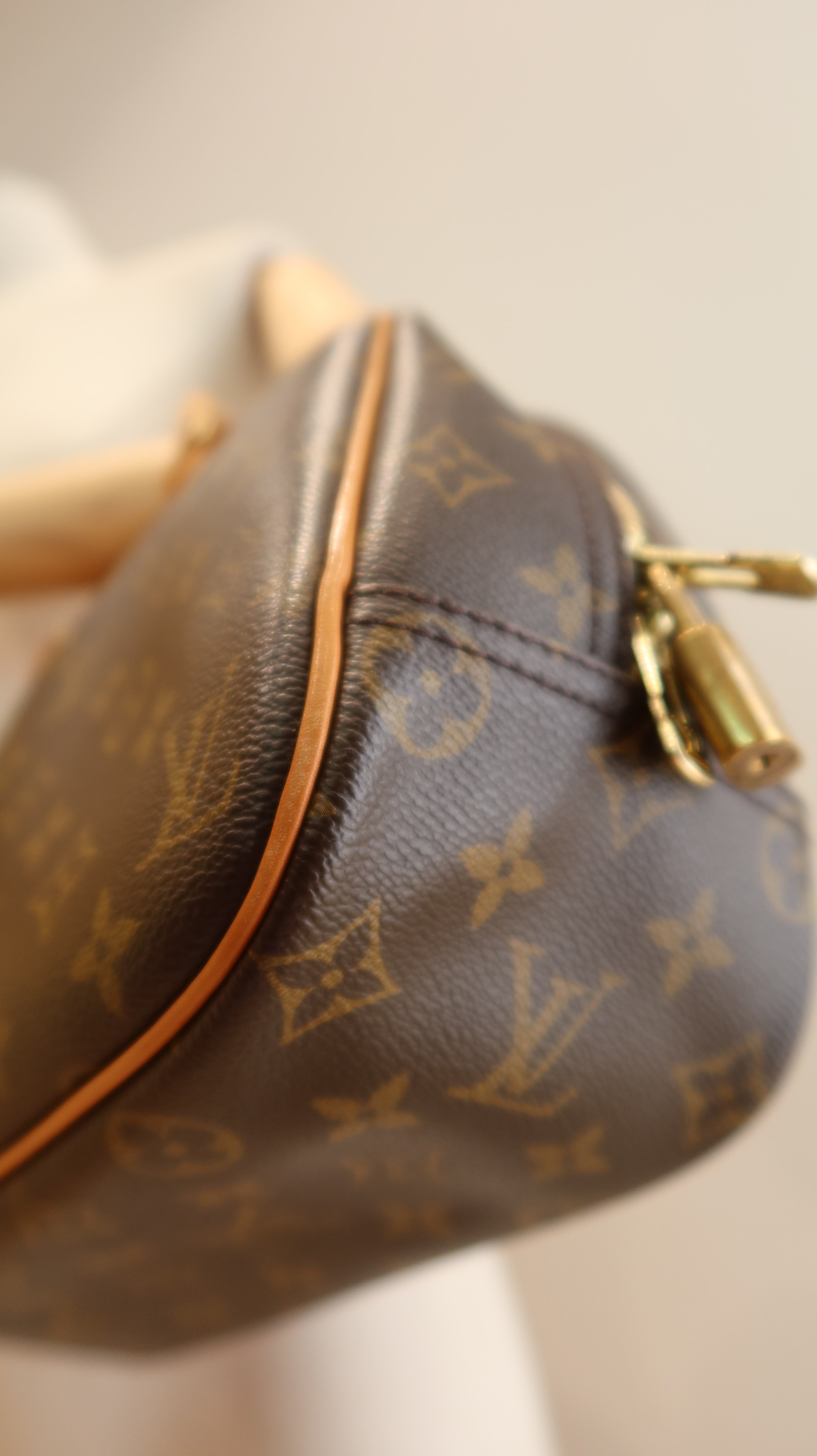 Louis Vuitton Trouville Bag
