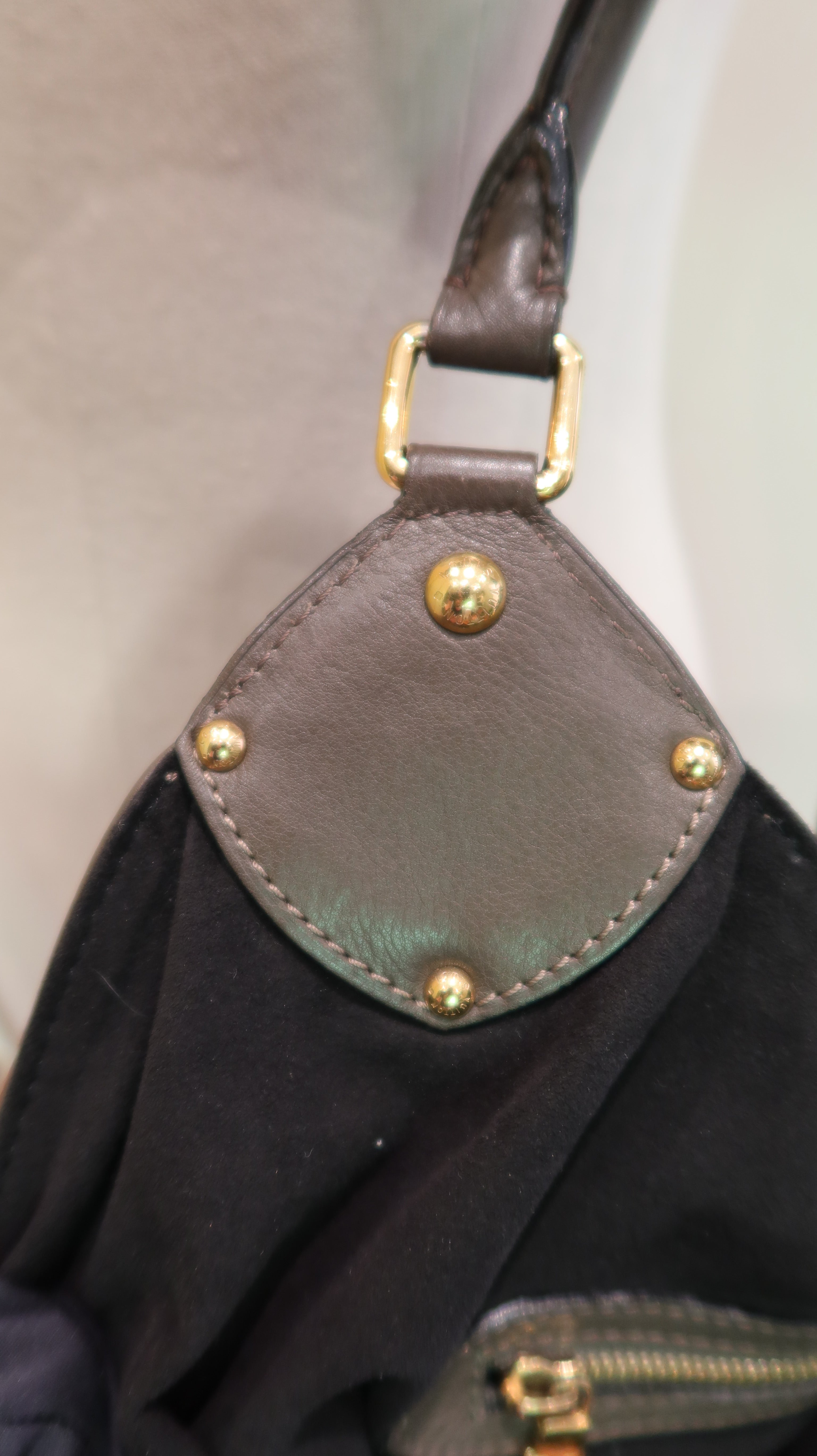 Louis Vuitton Hobo Bag