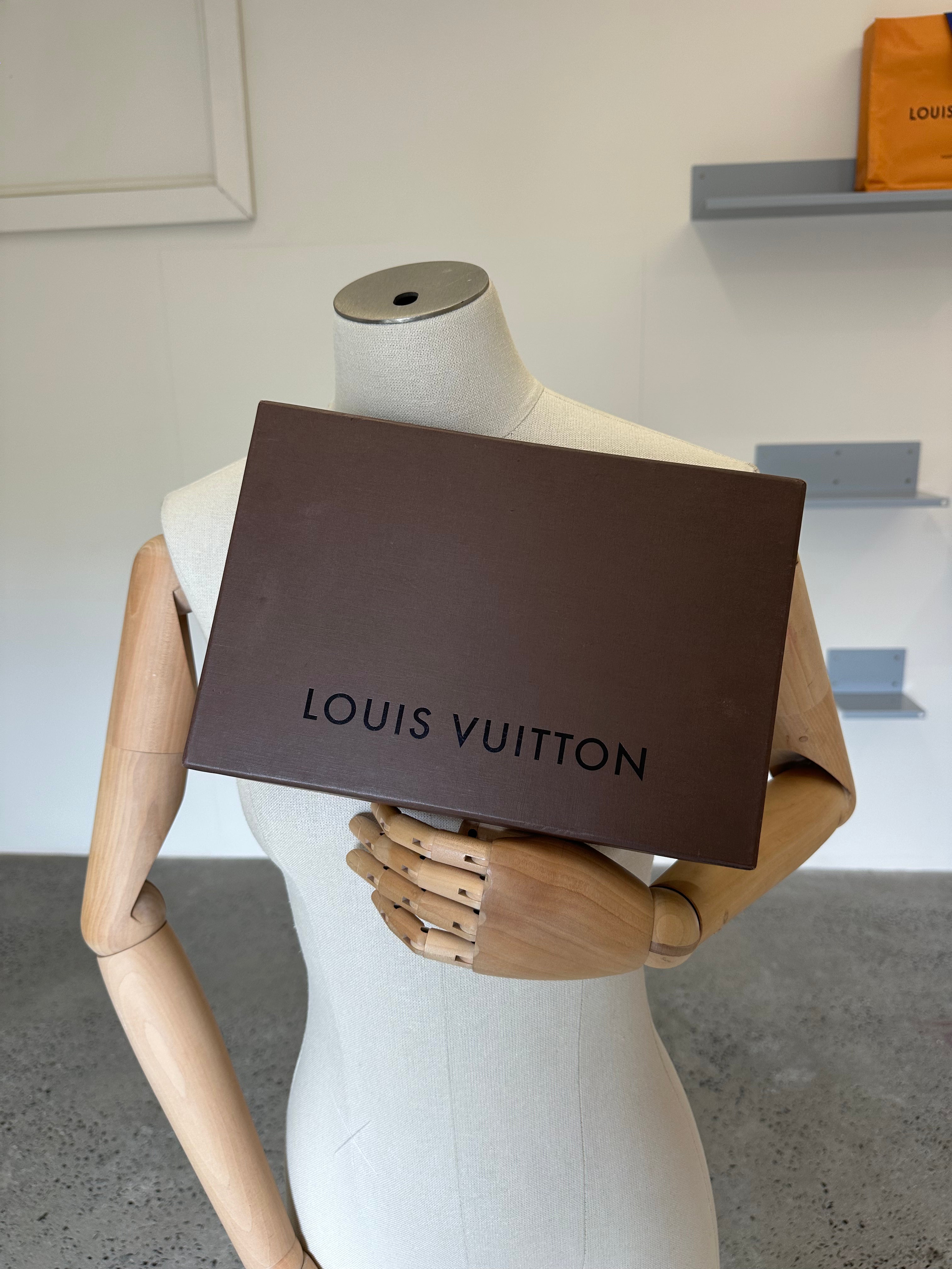 Louis Vuitton Pochette Accessoires