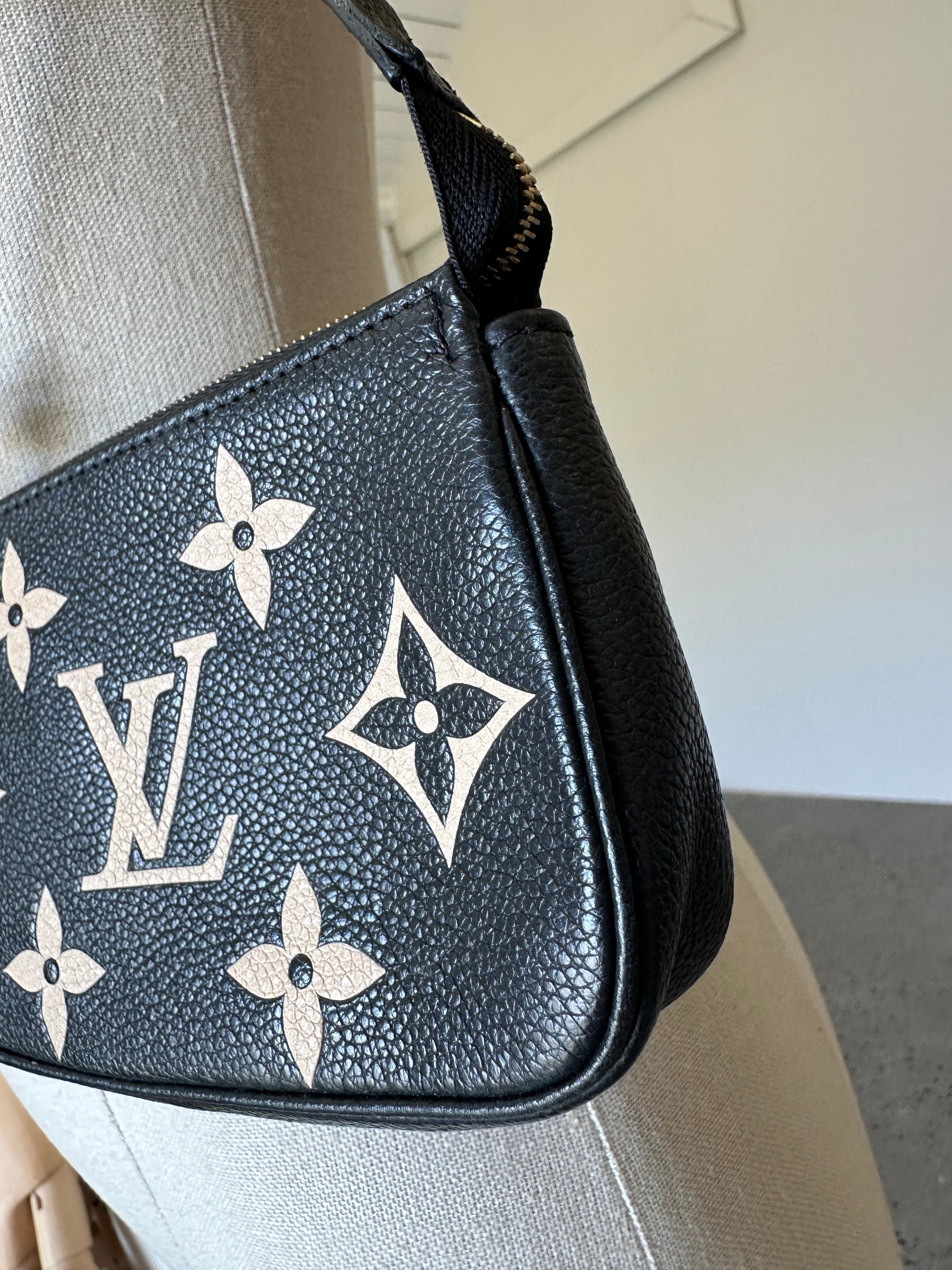 Louis Vuitton Mini Pochette Accessoires