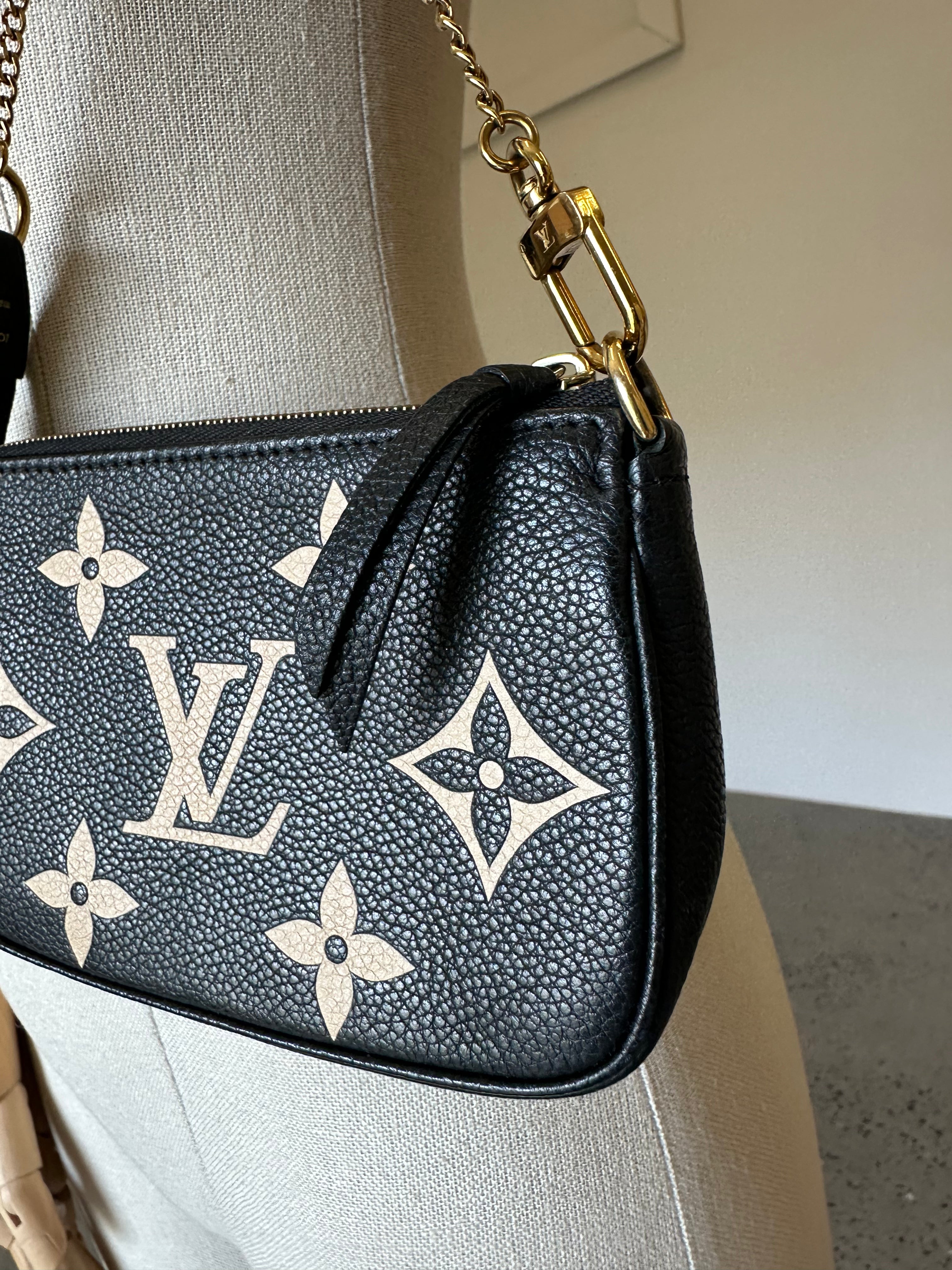 Louis Vuitton Mini Pochette Accessoires