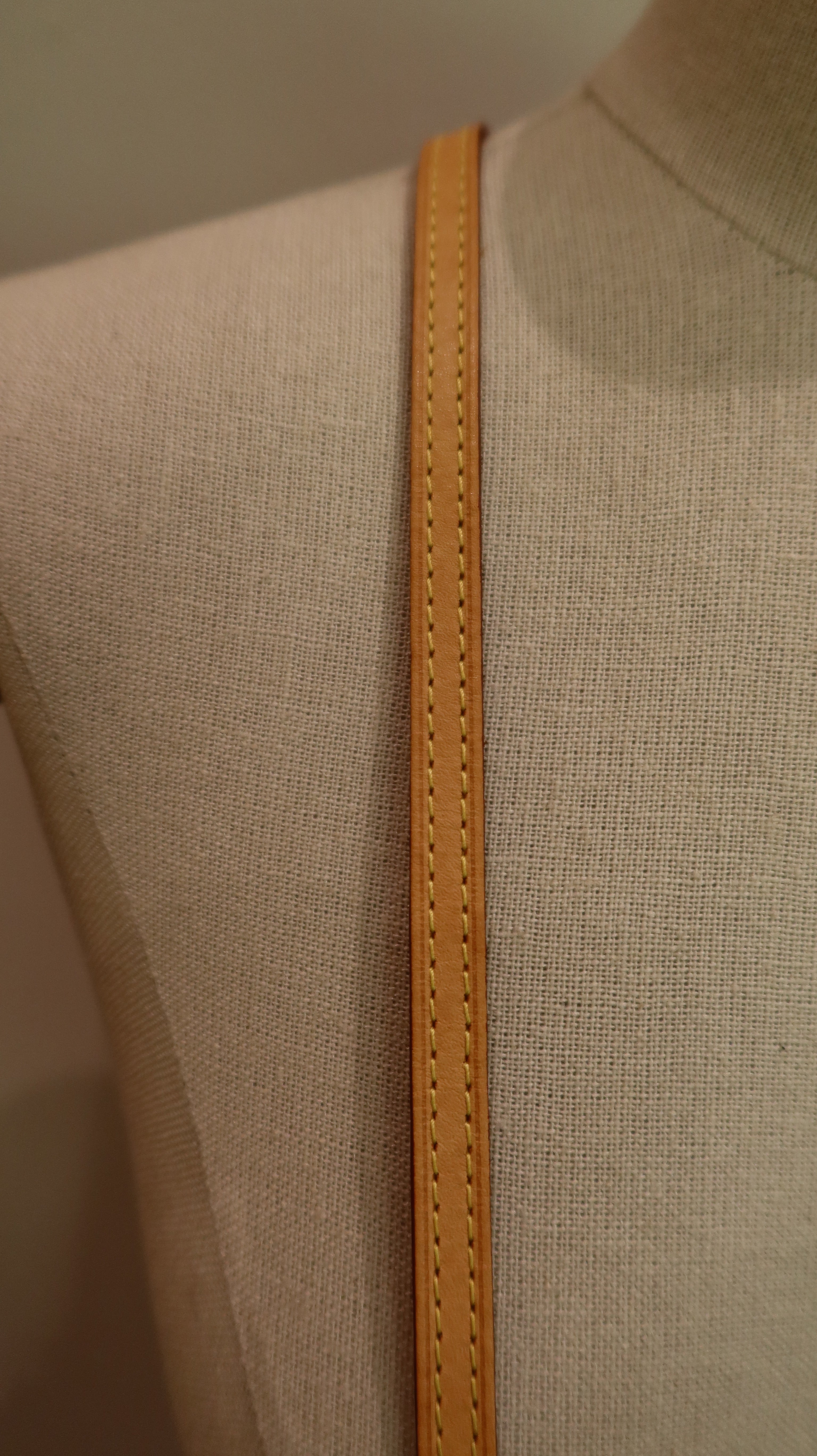 Louis Vuitton Nano Speedy