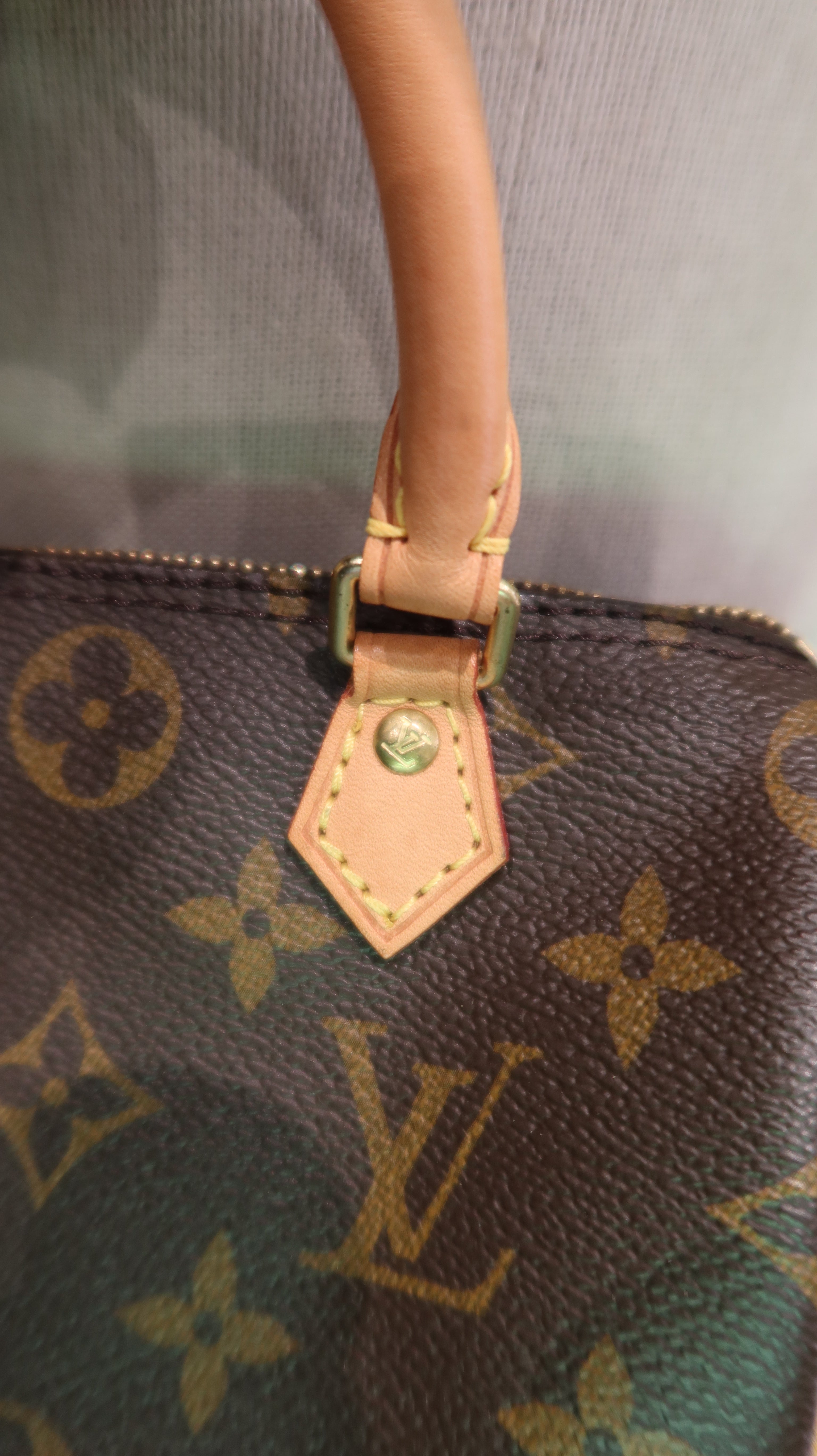 Louis Vuitton Nano Speedy