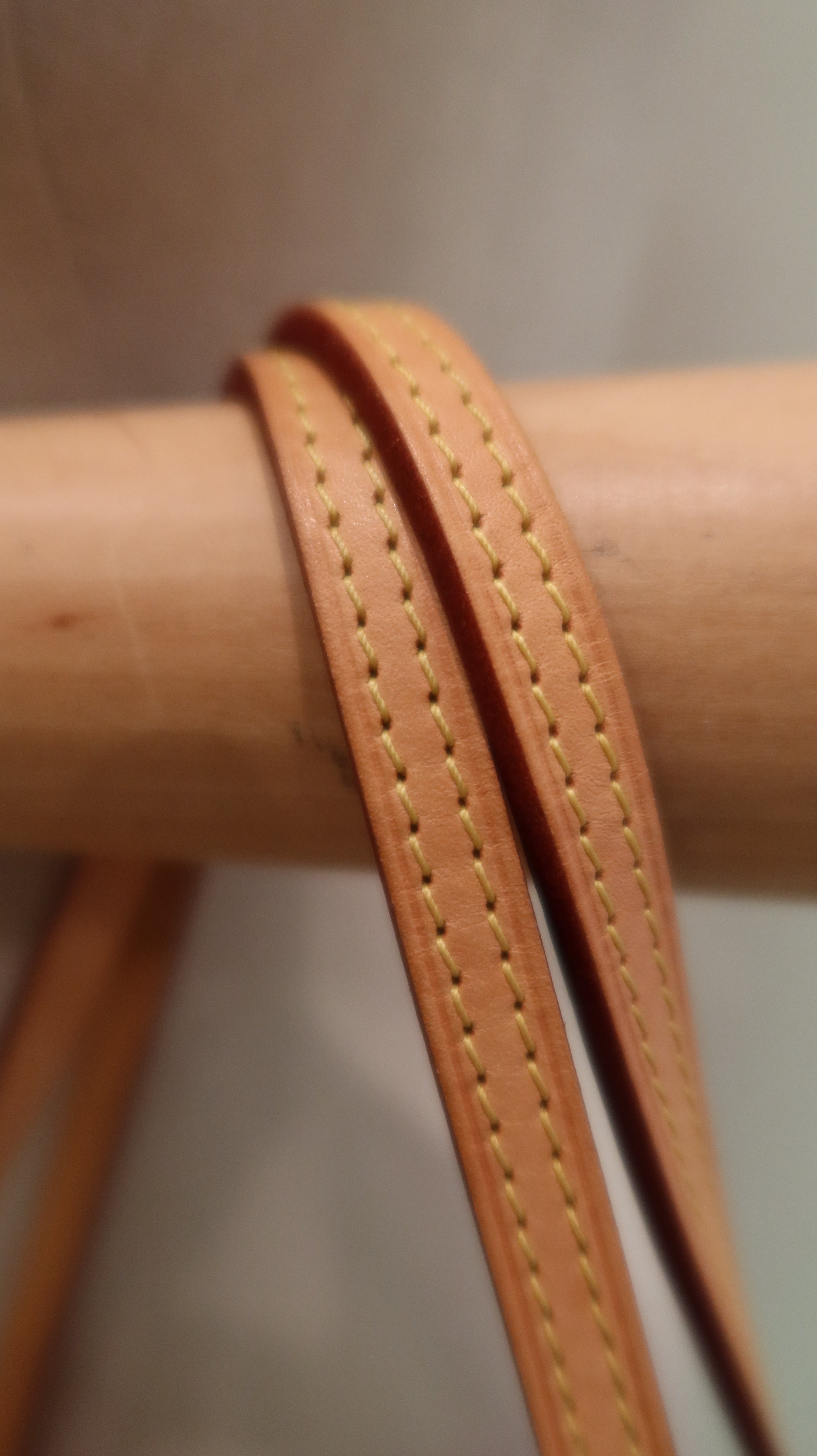 Louis Vuitton By The Pool Neverfull MM