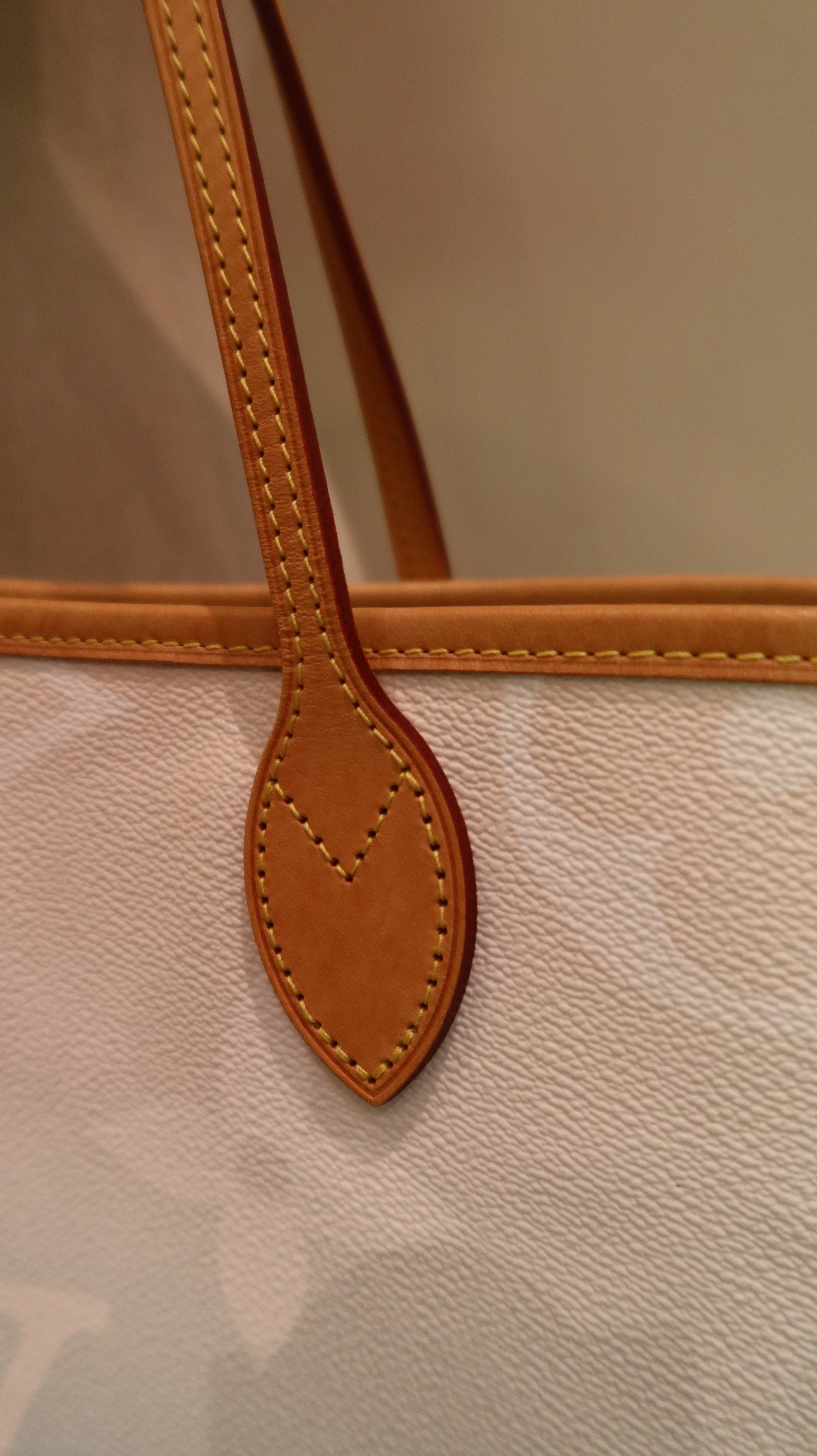 Louis Vuitton By The Pool Neverfull MM