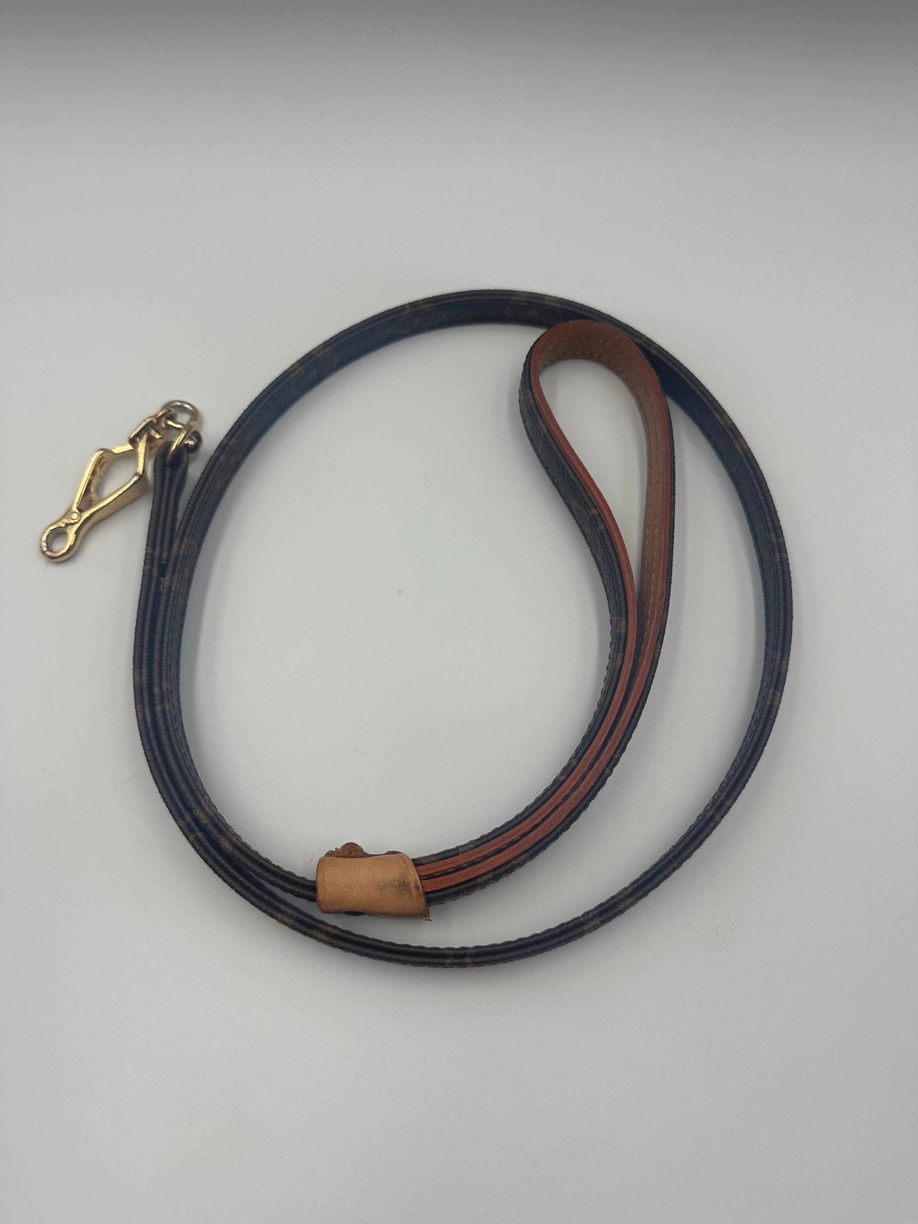 Louis Vuitton Dog Leash