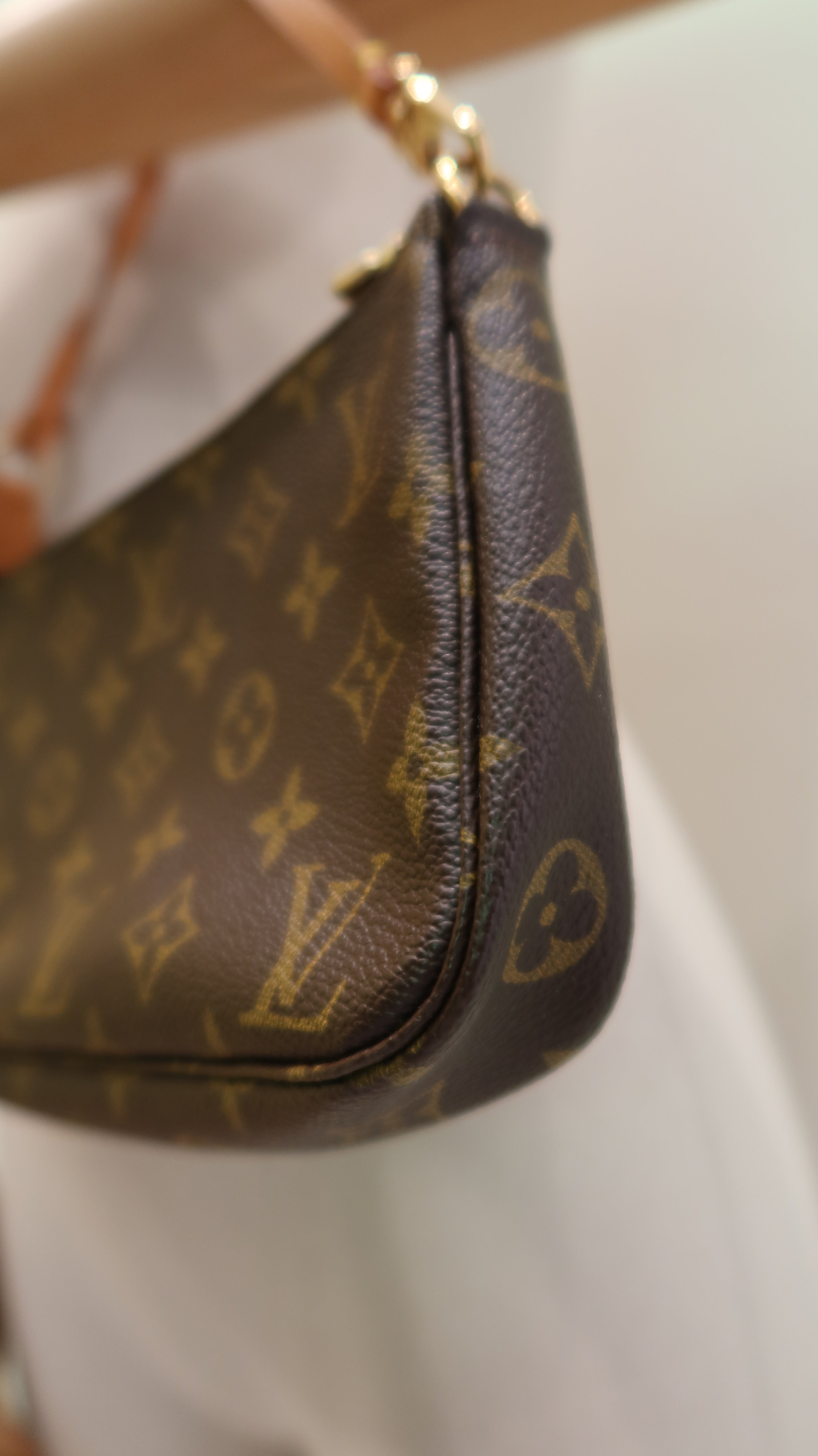 Louis Vuitton Pochette Accessoires