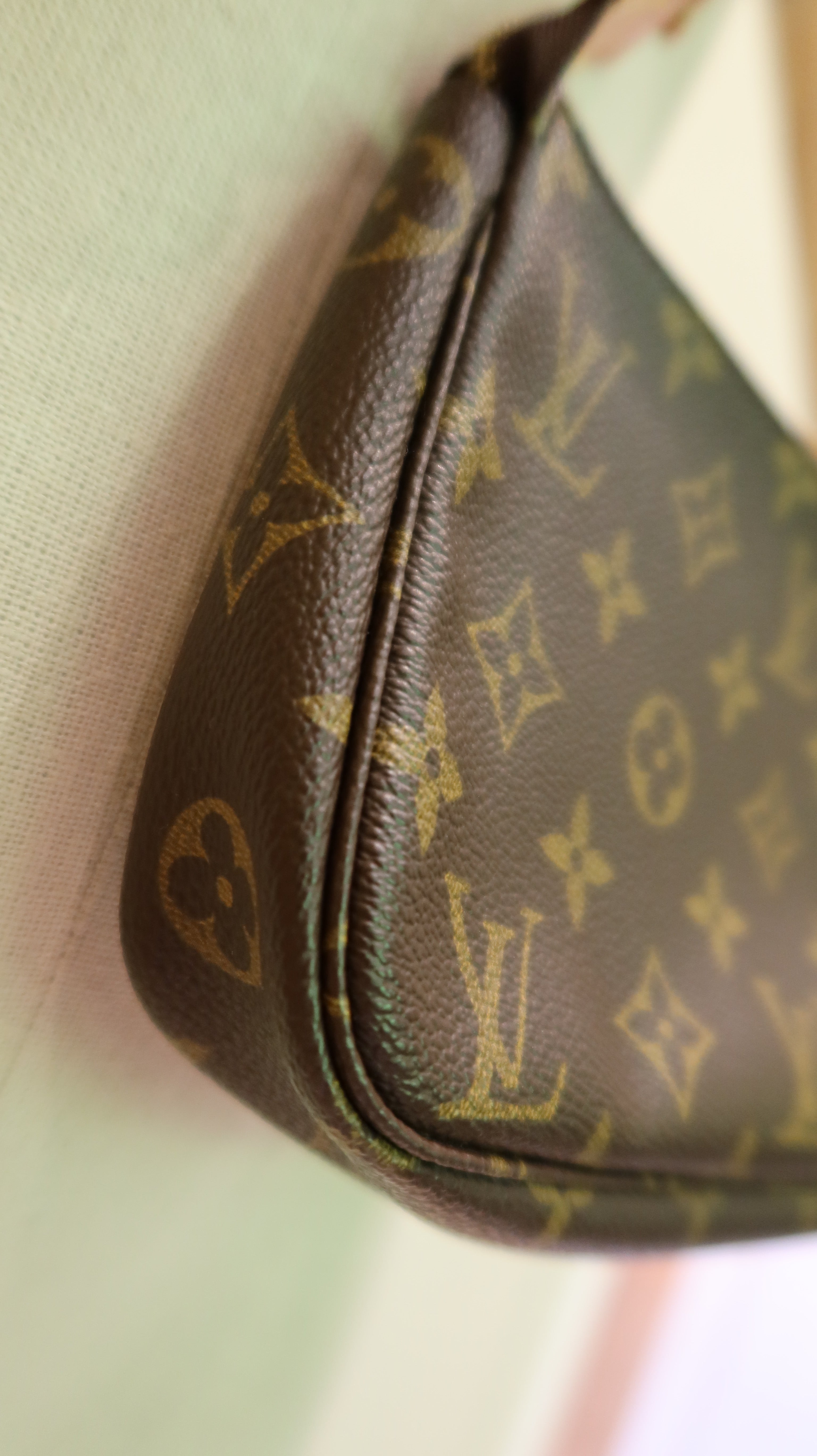 Louis Vuitton Pochette Accessoires