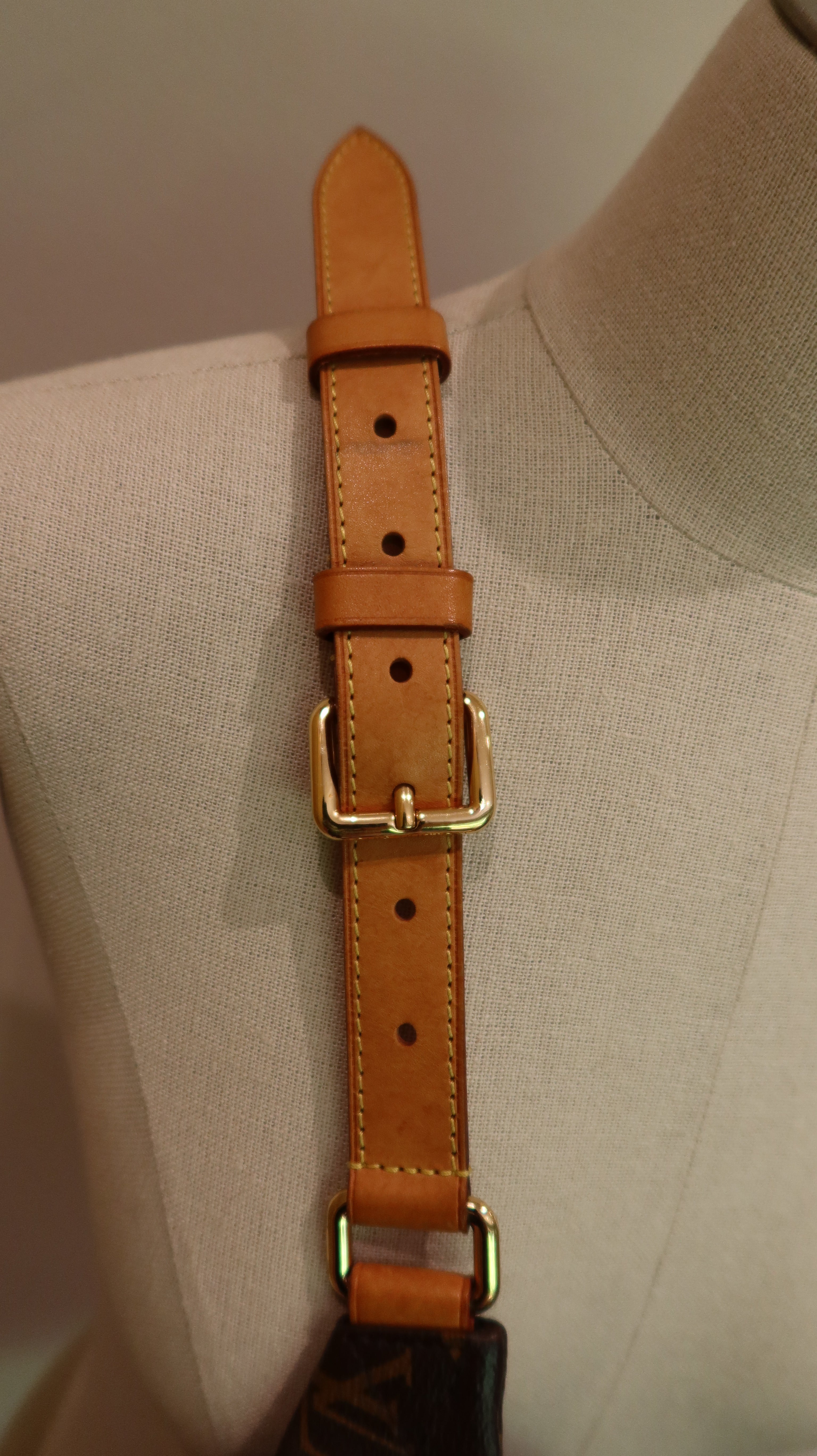 Louis Vuitton Bumbag