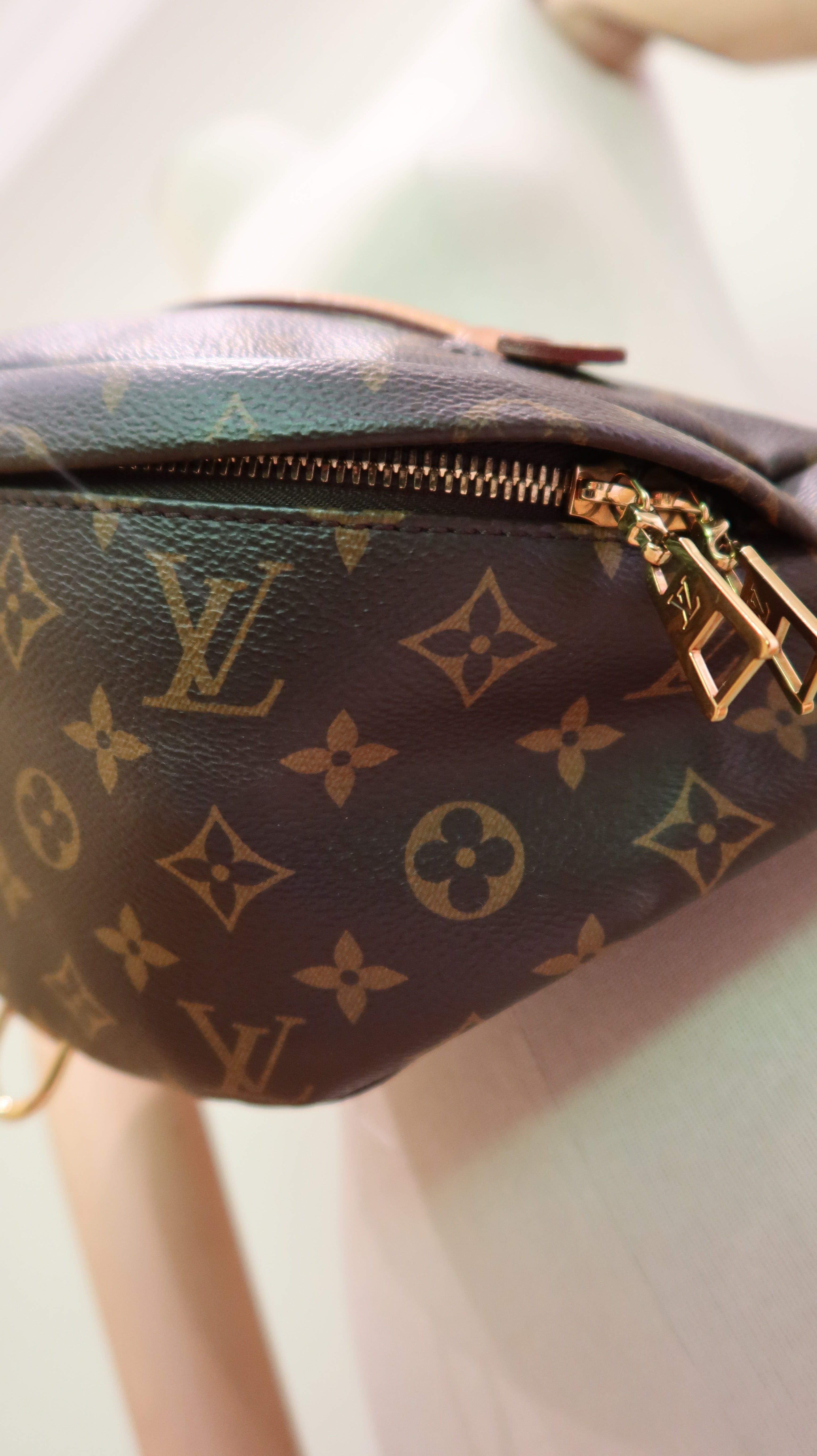 Louis Vuitton Bumbag
