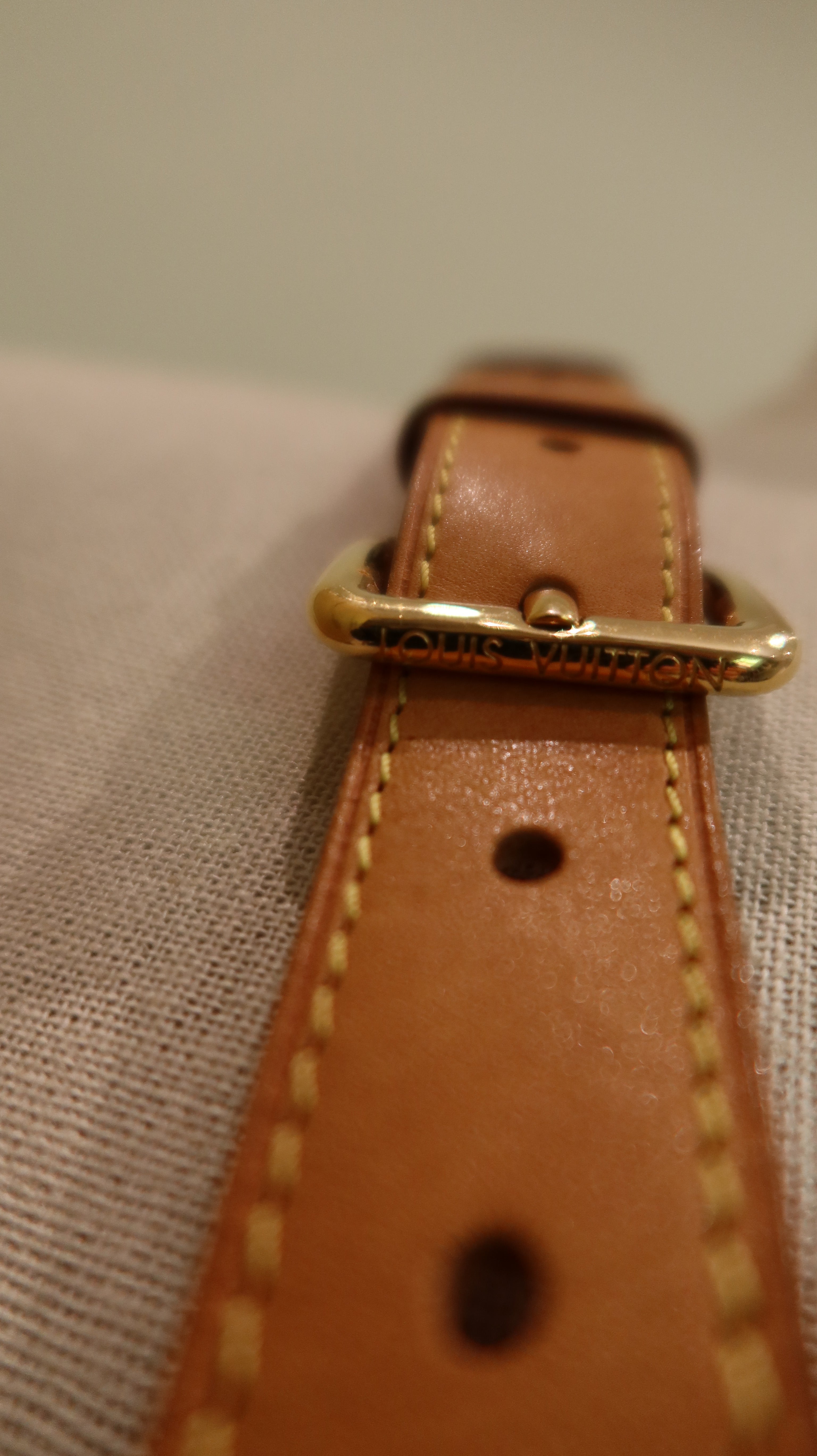 Louis Vuitton Bumbag