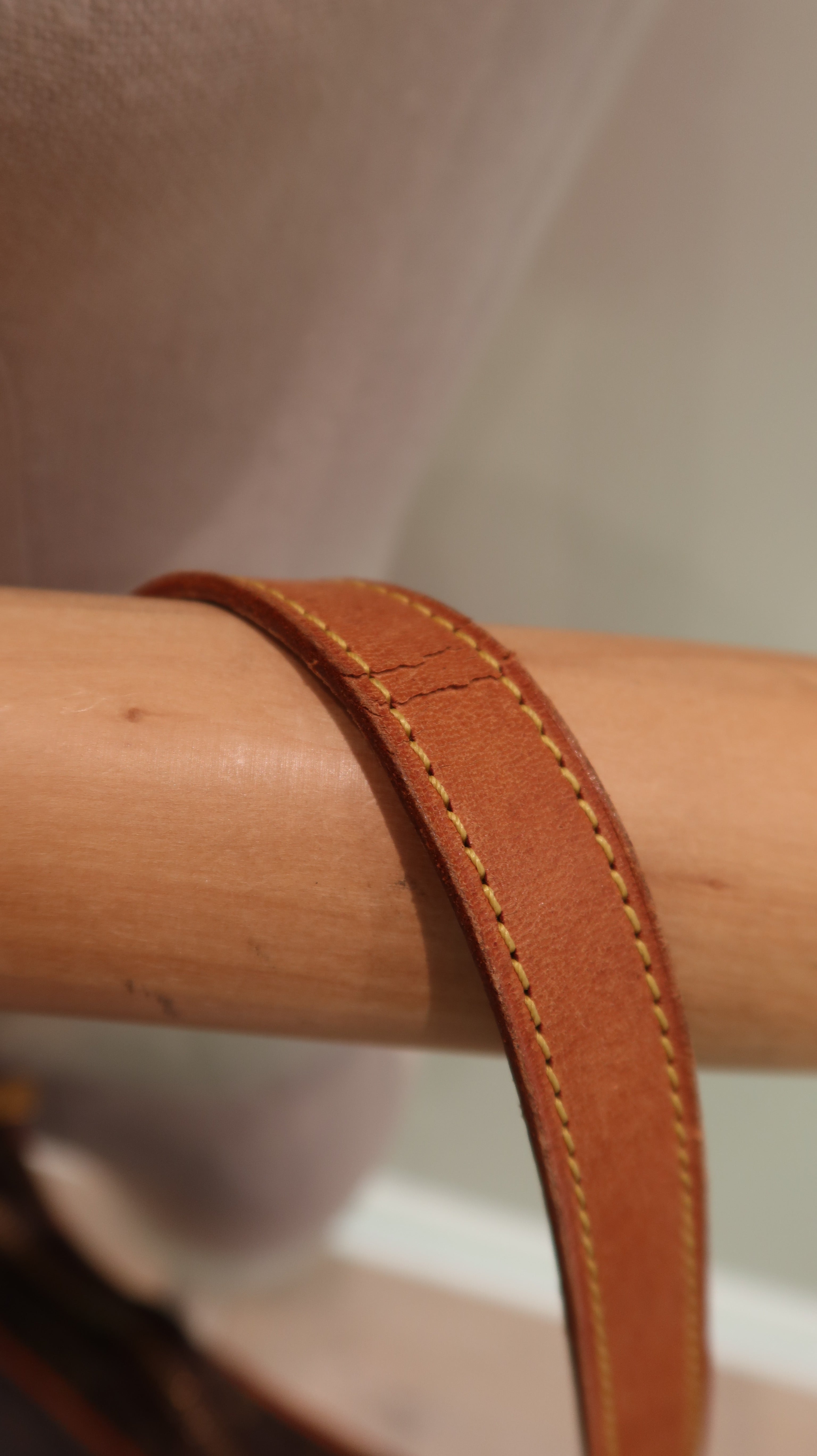 Louis Vuitton Croissant PM