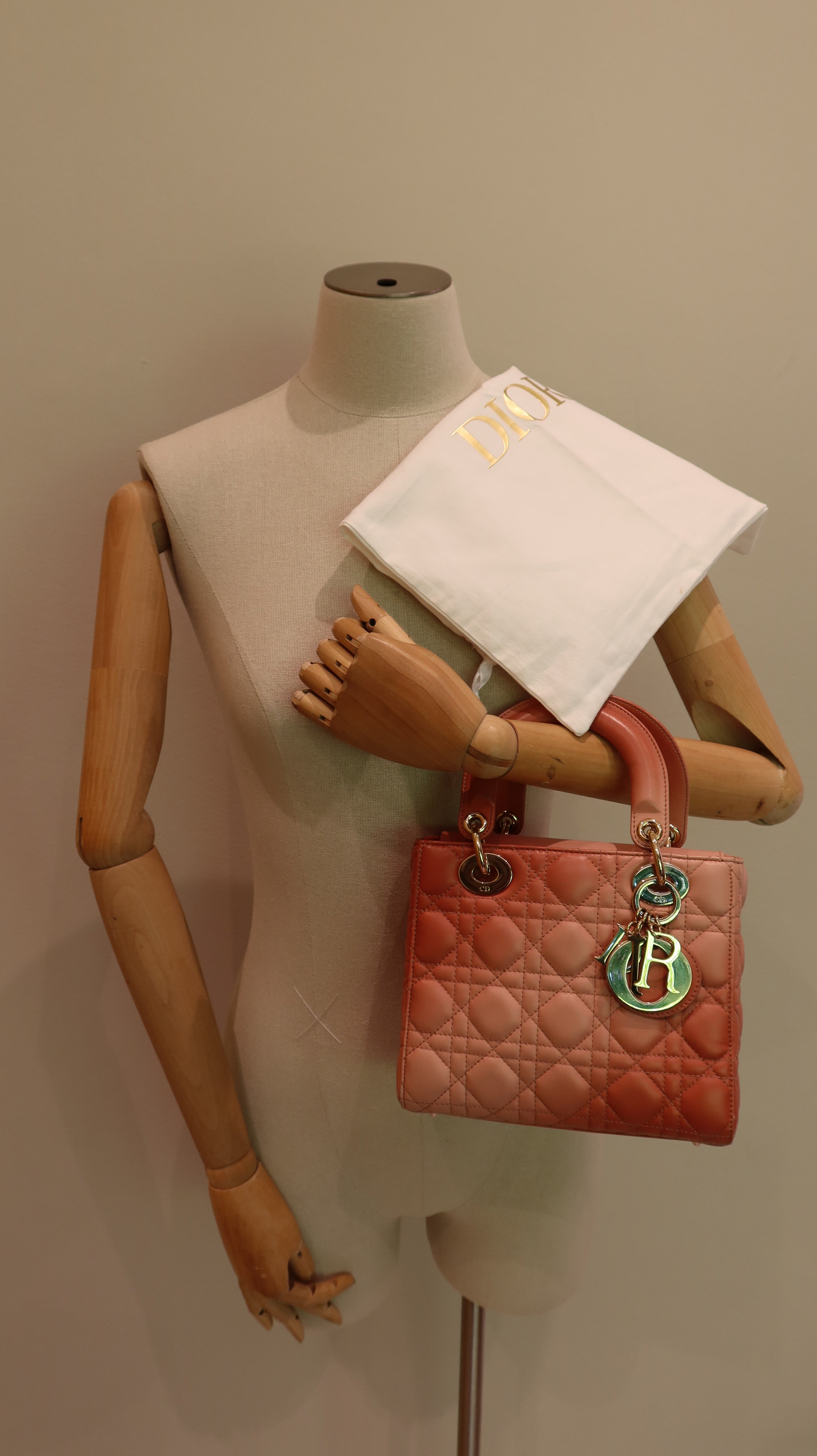 Lady Dior ABC Bag *Limited Edition*