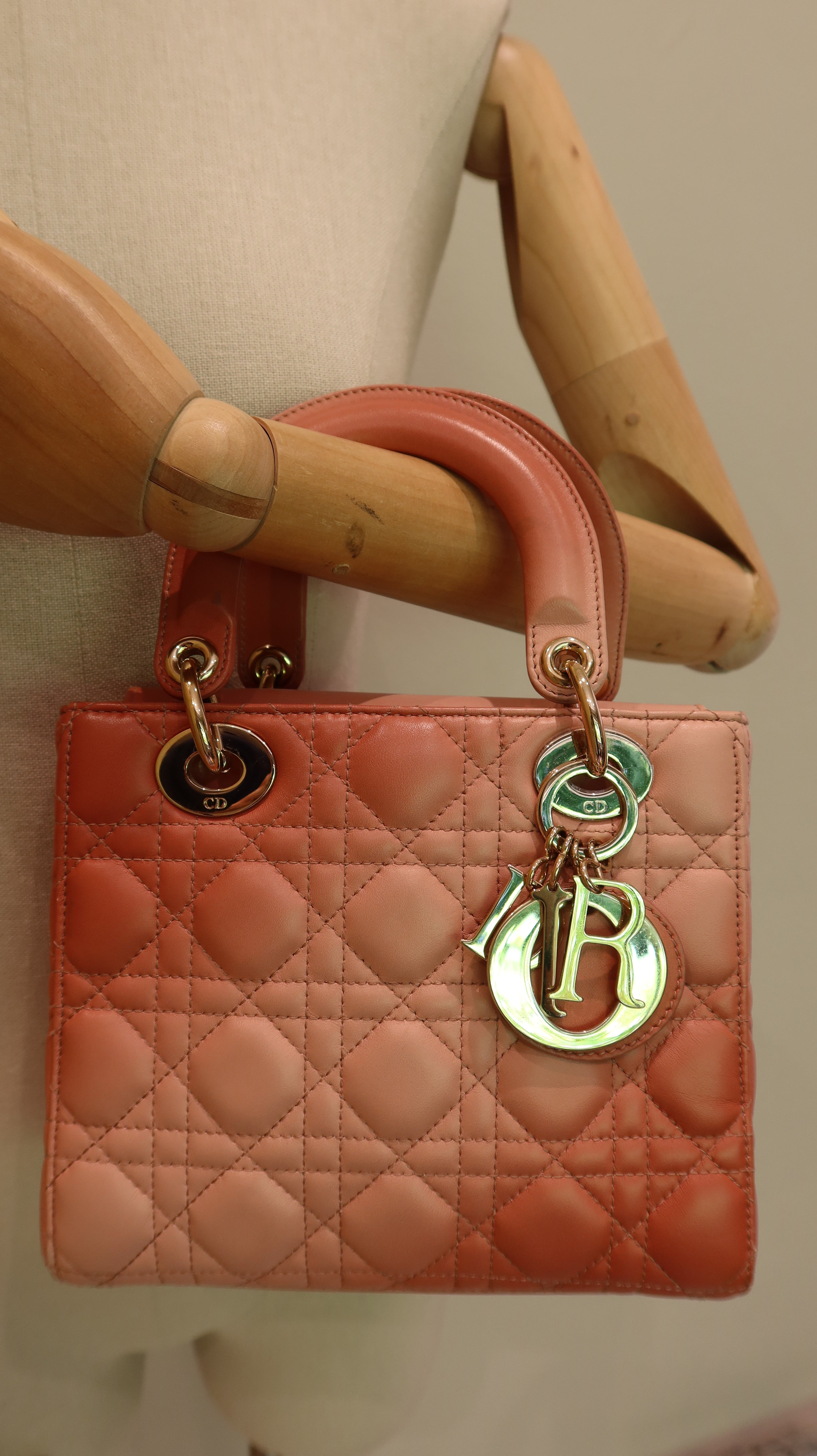 Lady Dior ABC Bag *Limited Edition*