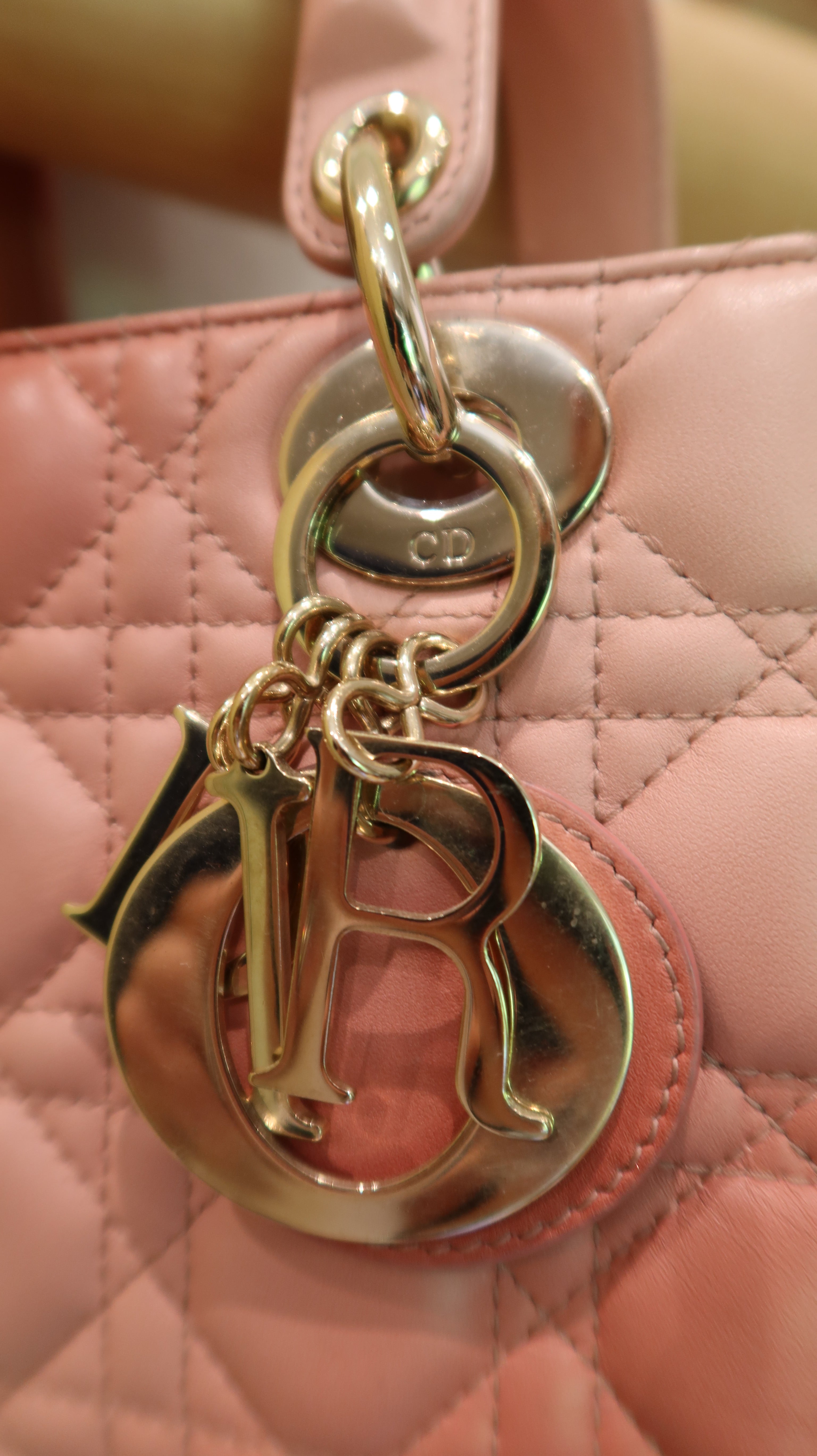 Lady Dior ABC Bag *Limited Edition*