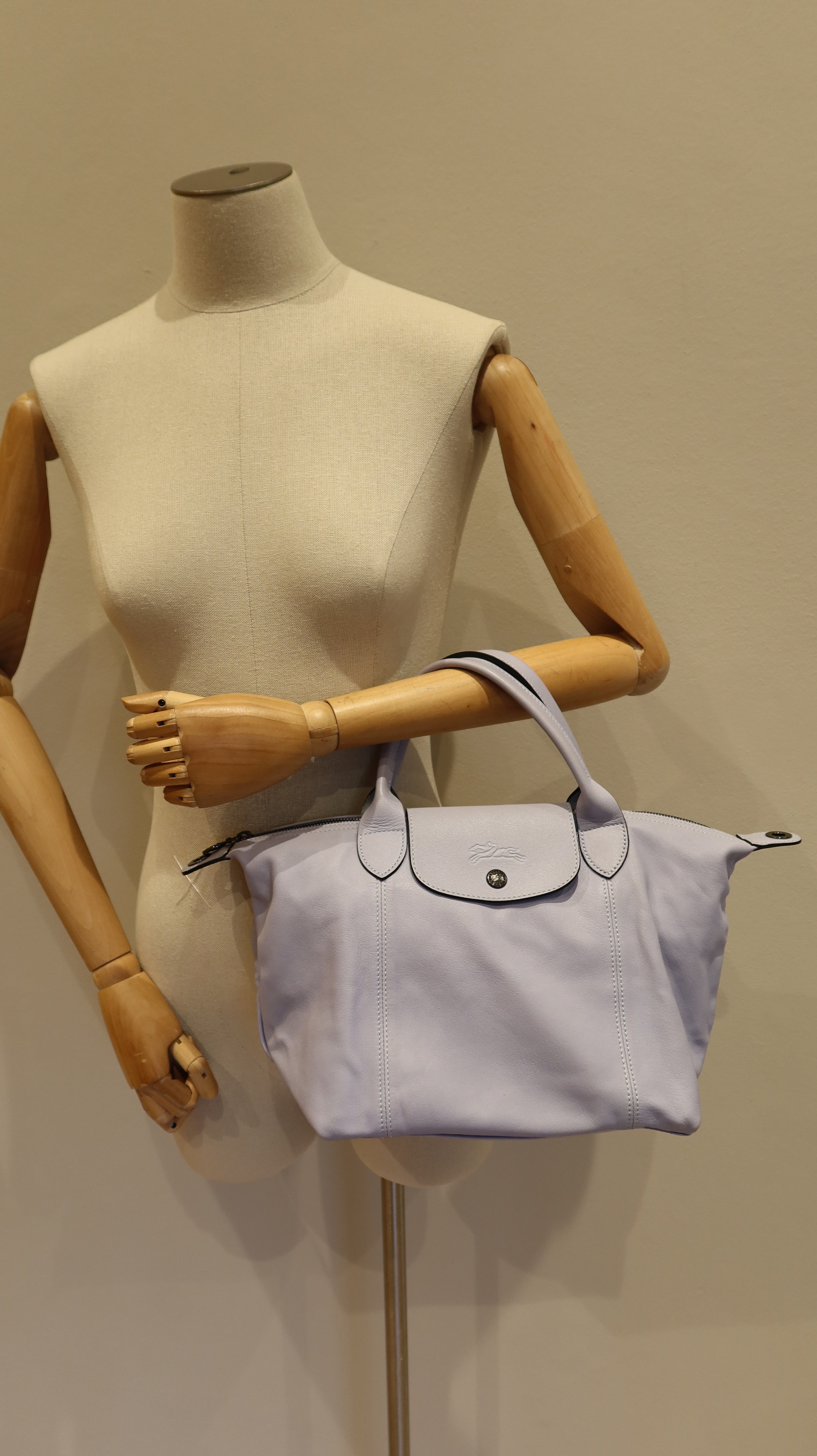 Longchamp Le Pliage Cuir Handbag