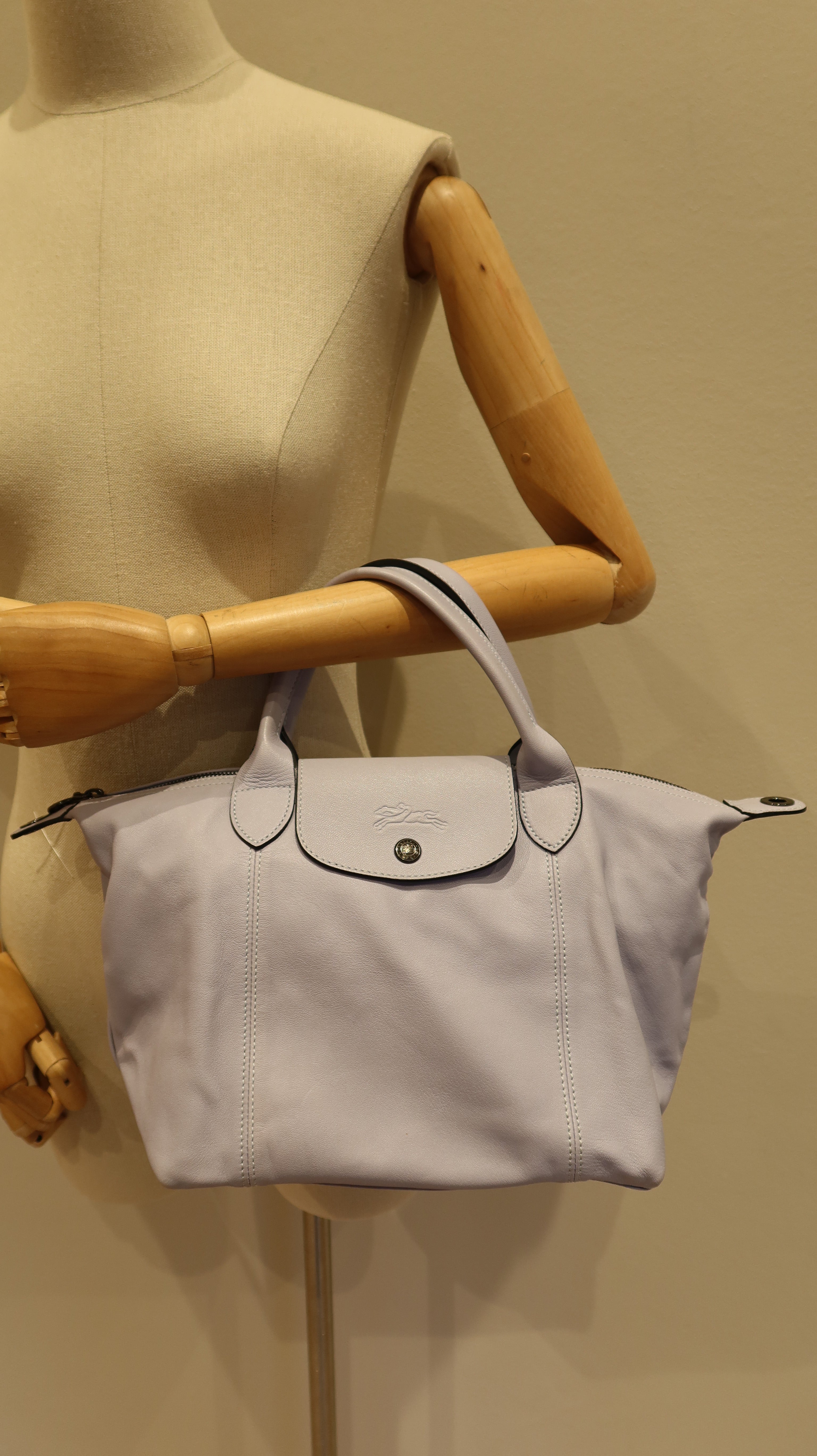 Longchamp Le Pliage Cuir Handbag